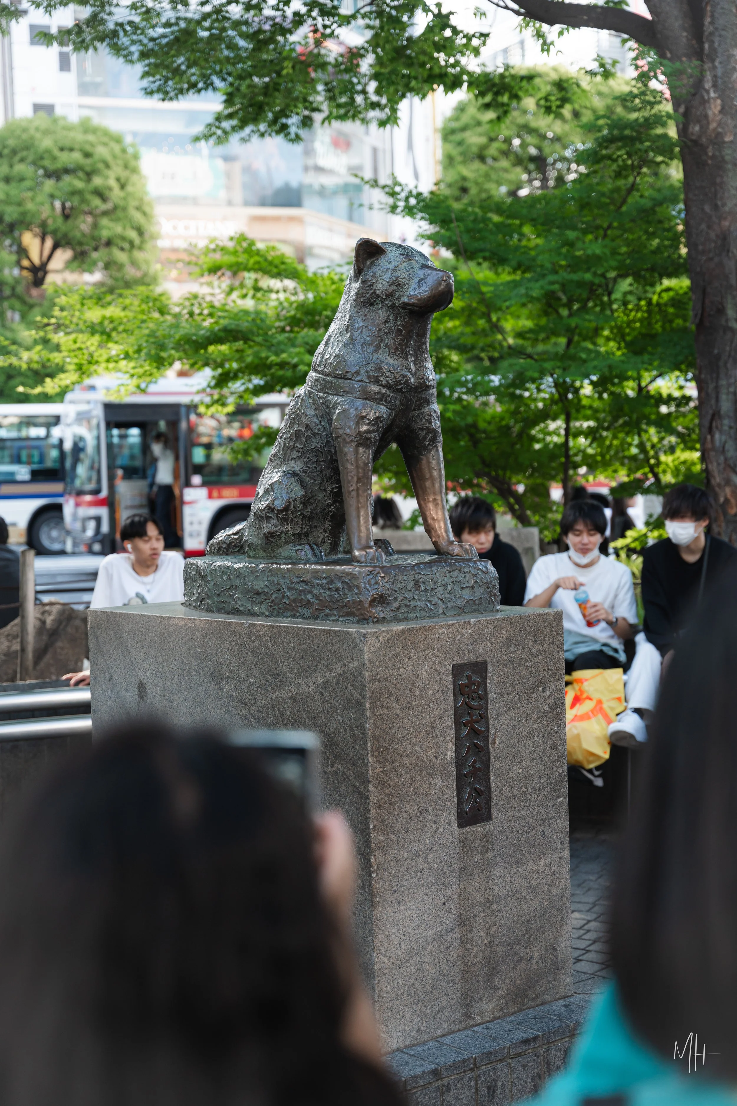MSH01690-59.jpg