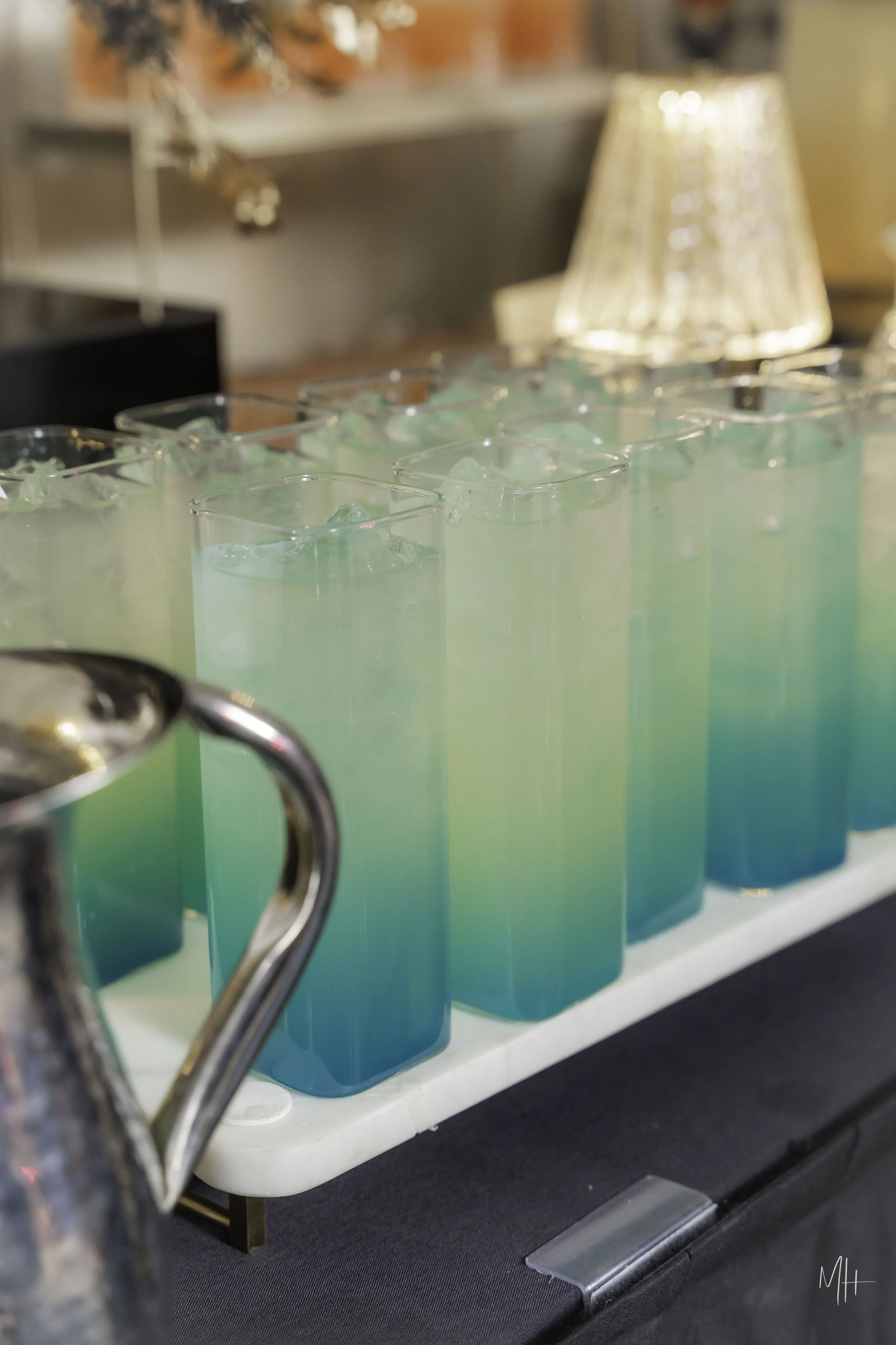 20260403 - Tony Rehal-32.jpg