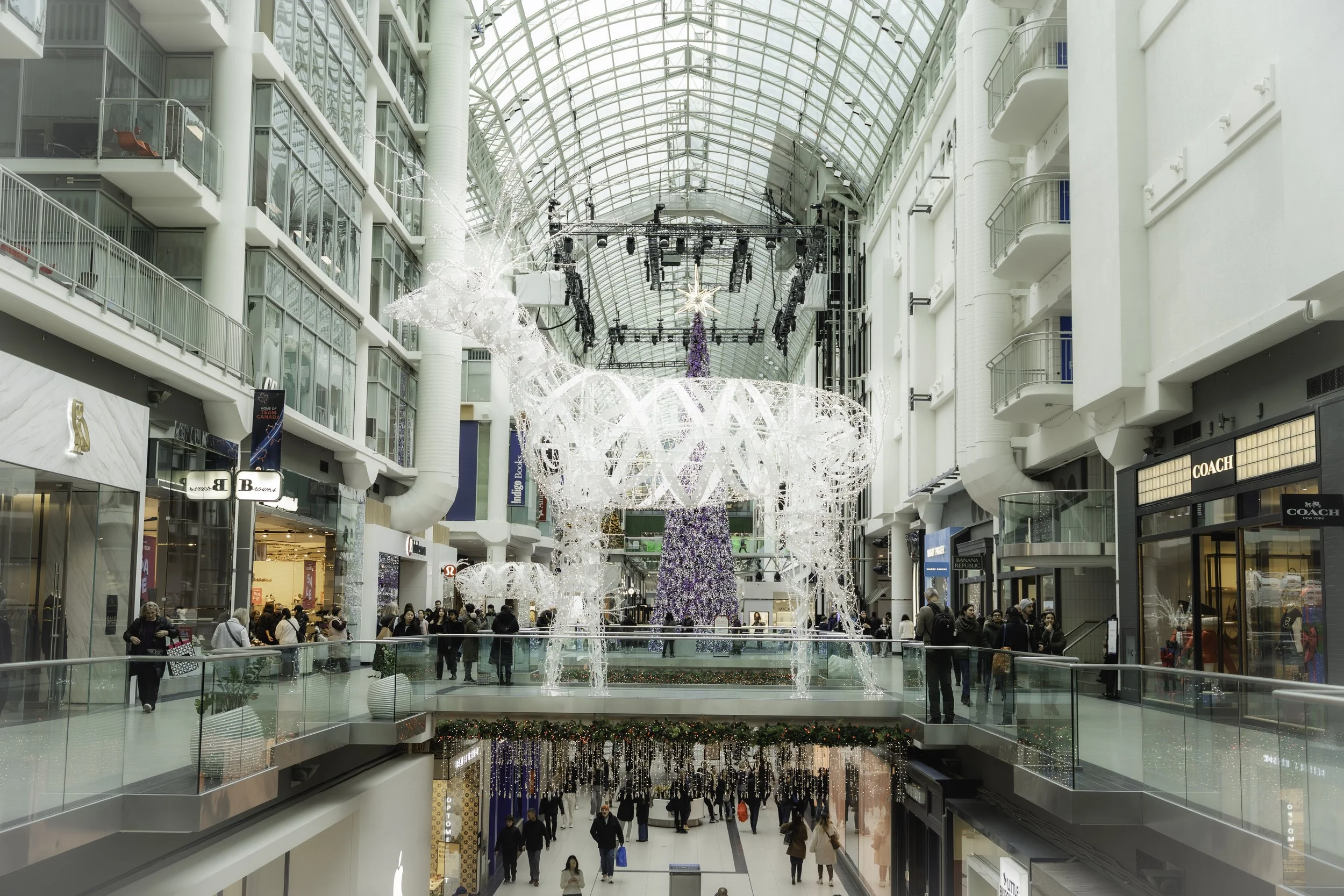 20251127 - Toronto 2025-1.jpg