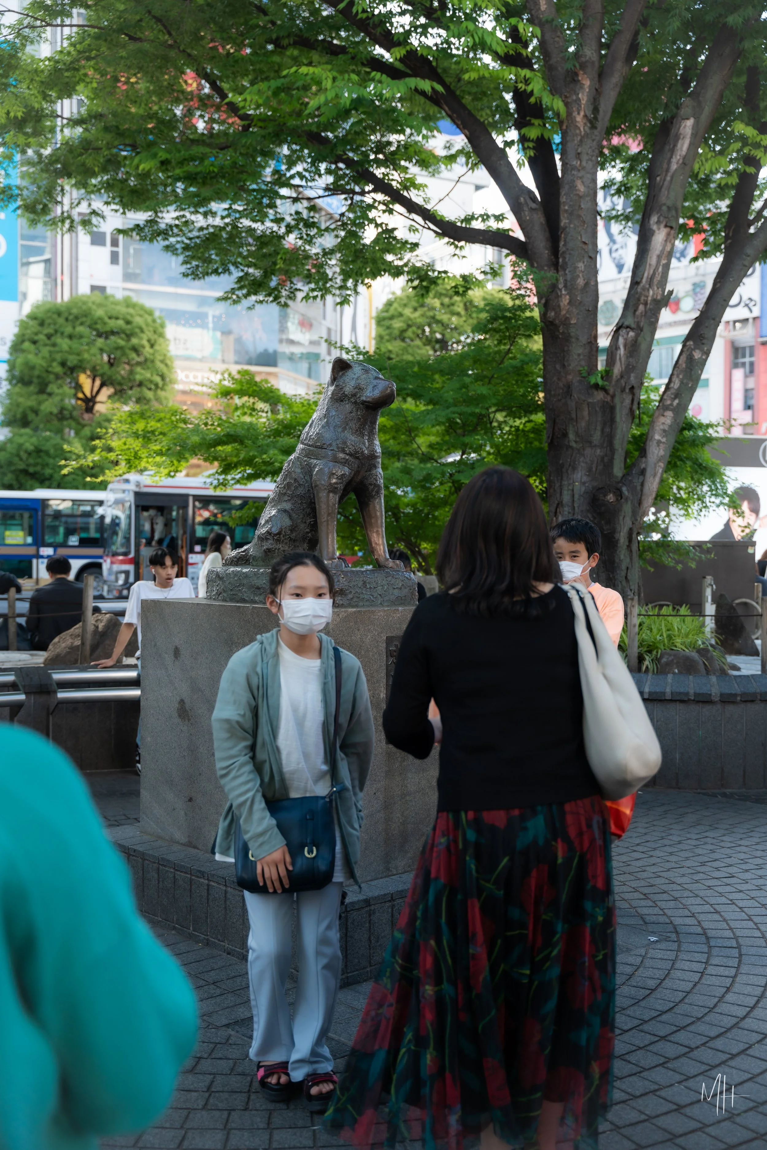 MSH01688-57.jpg