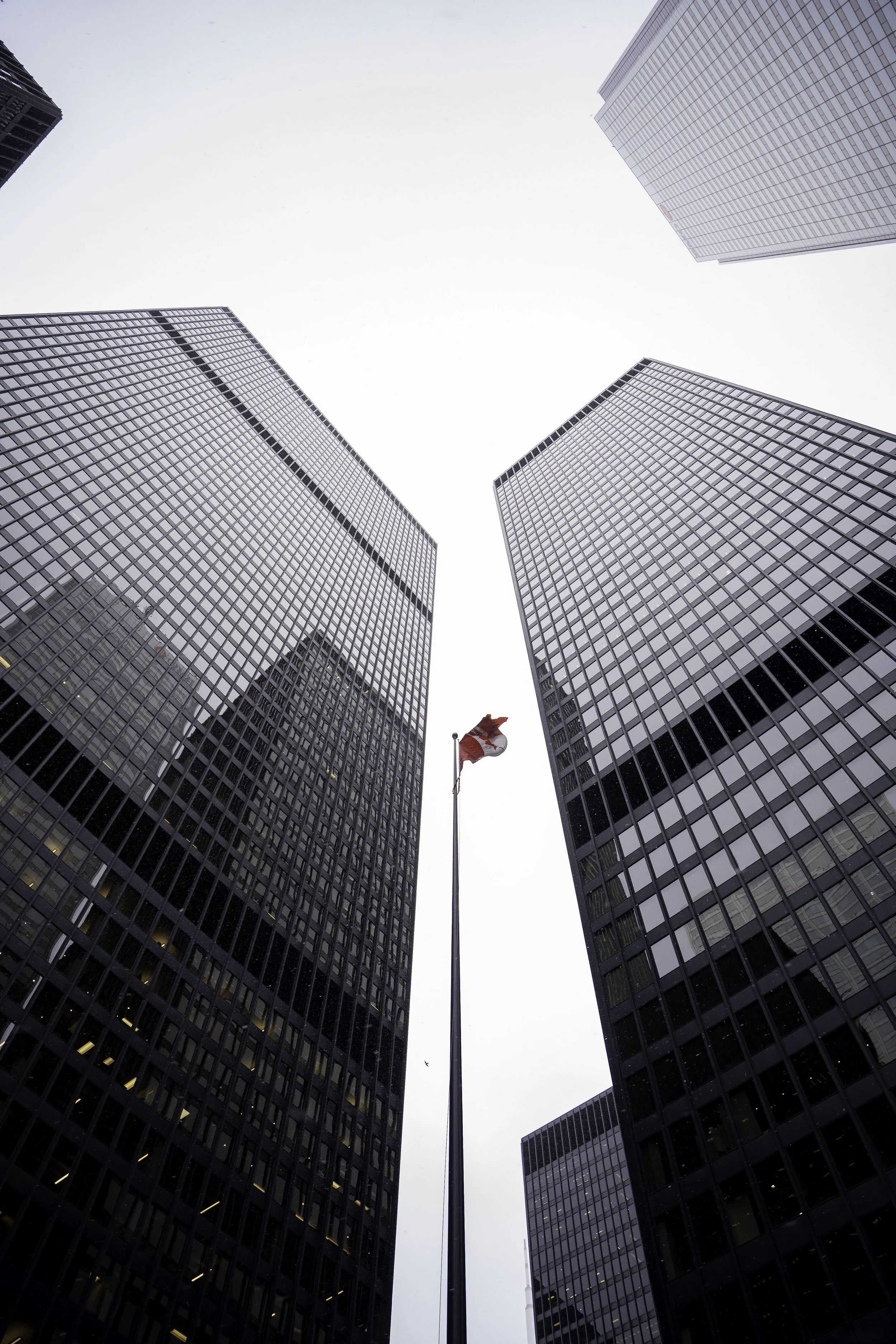 20251127 - Toronto 2025-7.jpg