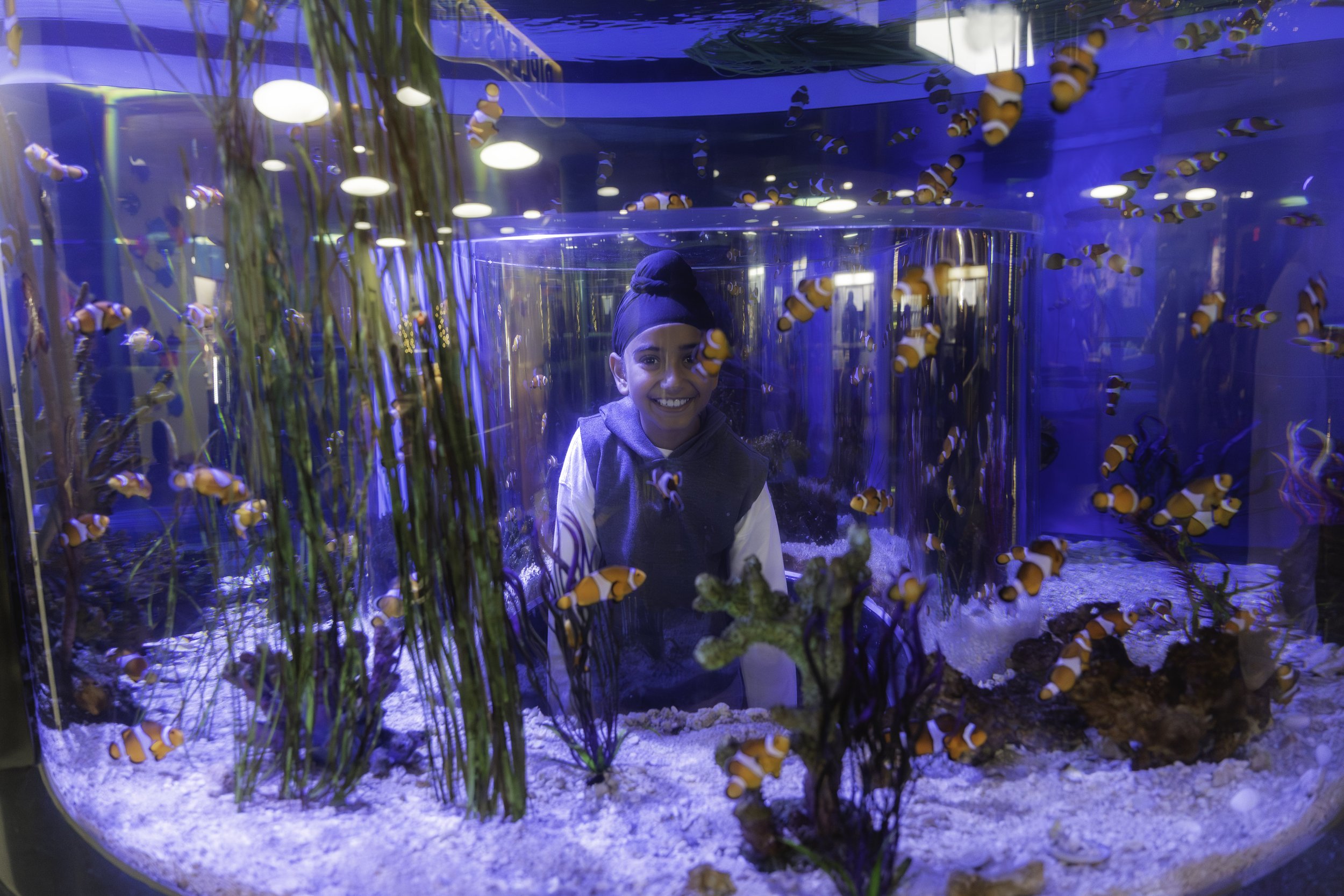 20251127 - Toronto 2025-11.jpg