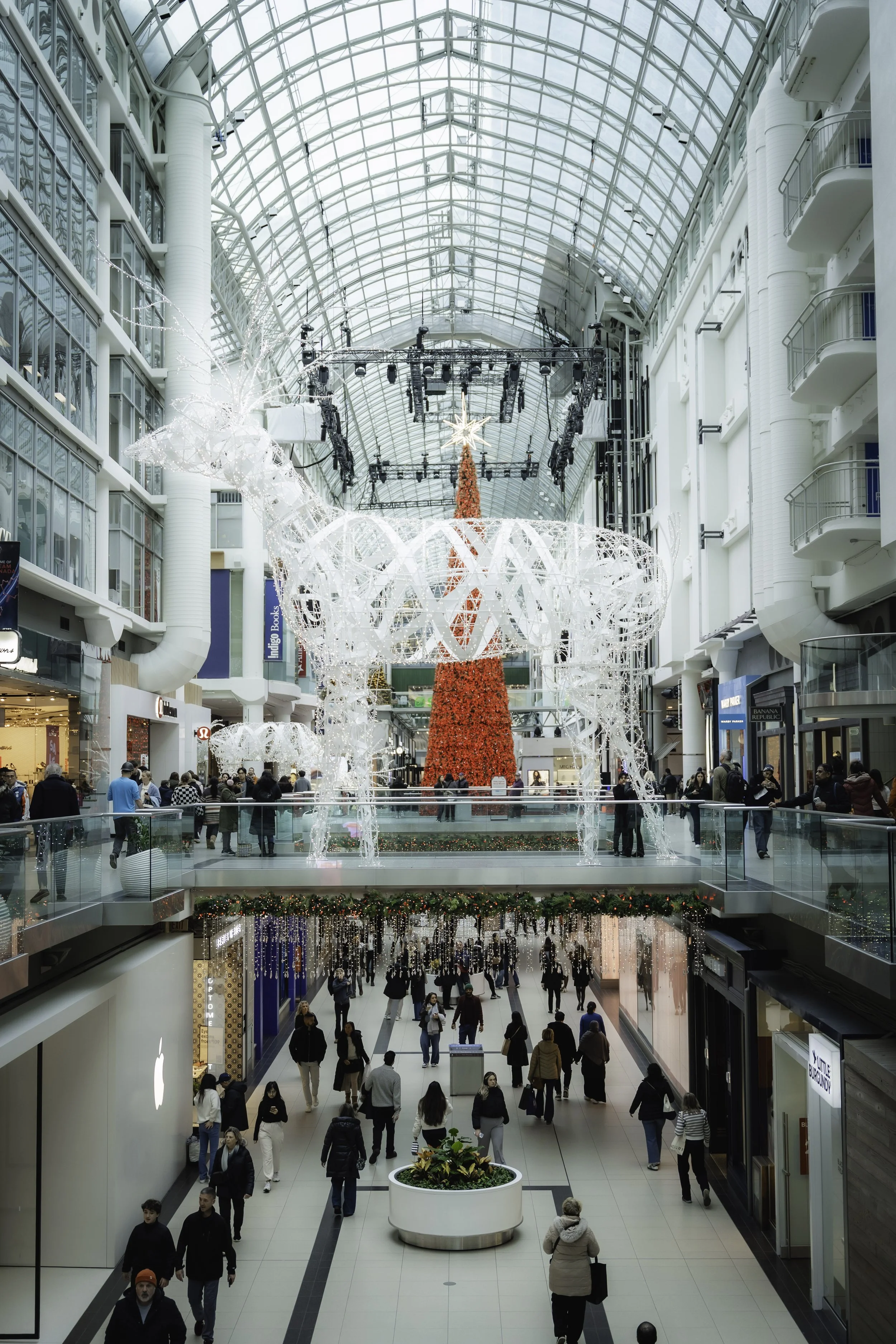 20251127 - Toronto 2025-2.jpg