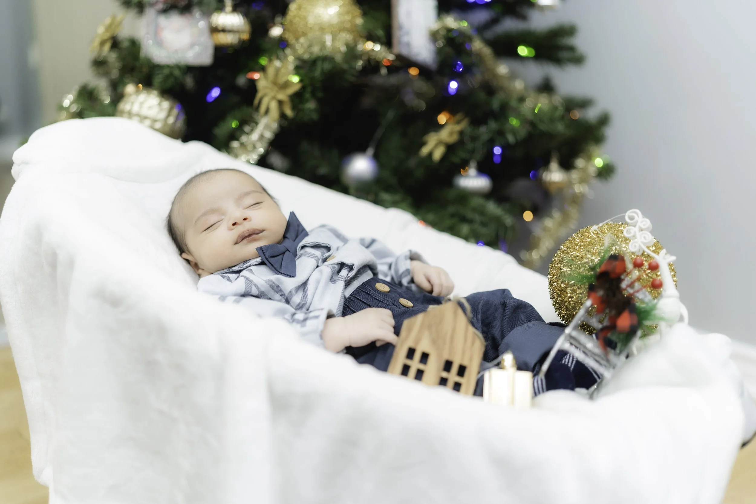 20251128 - Toronto 2025-17.jpg