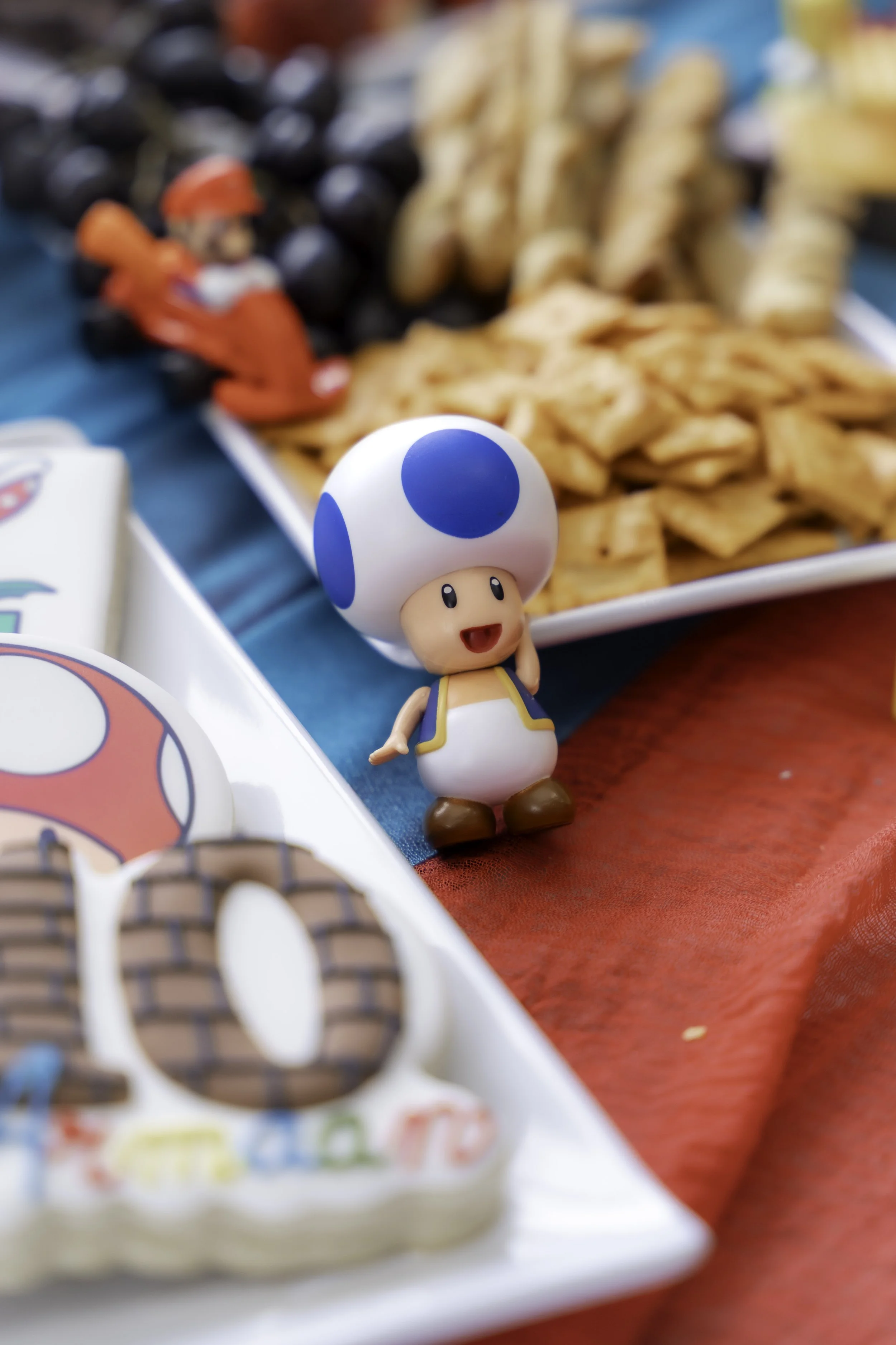 20260216 - Armaan bday-40.jpg