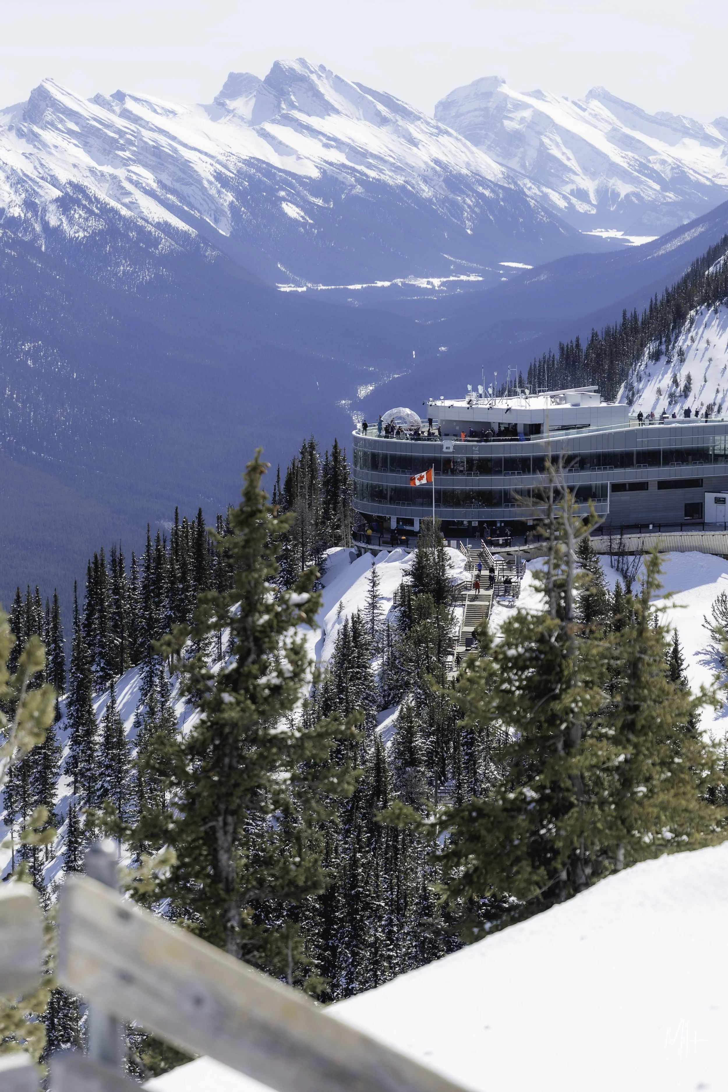 20260418 - Family Banff-136.jpg