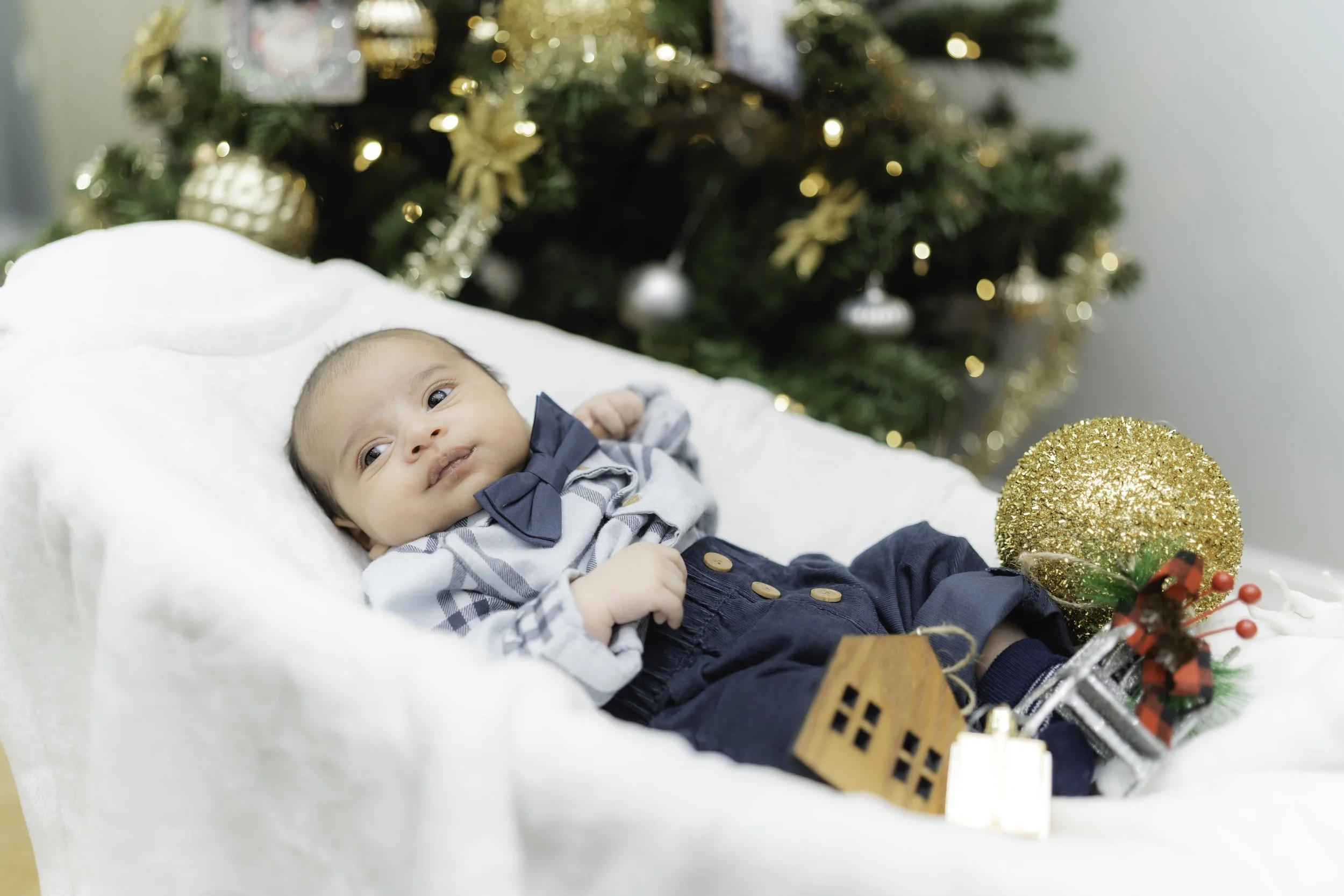 20251128 - Toronto 2025-18.jpg