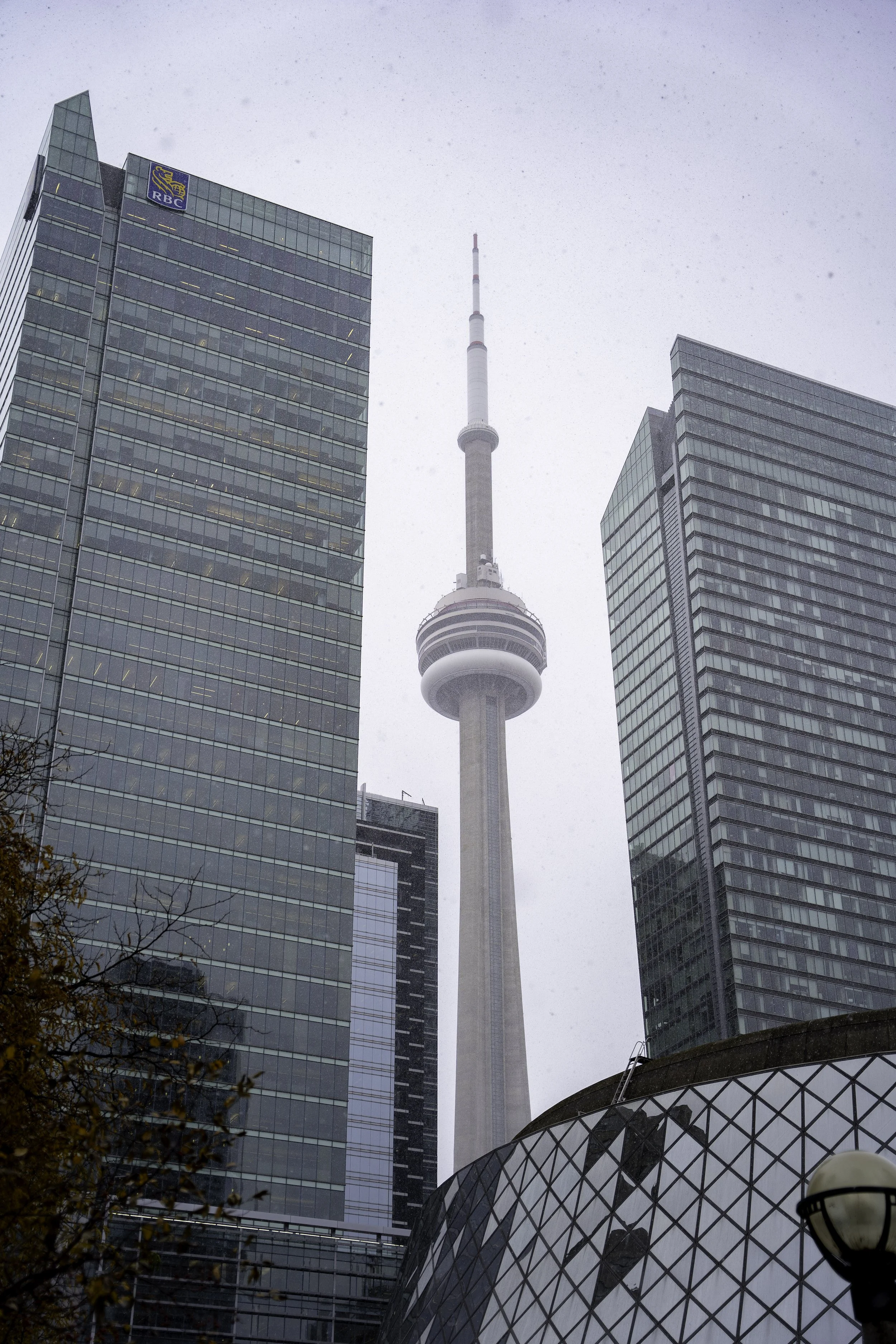 20251127 - Toronto 2025-8.jpg