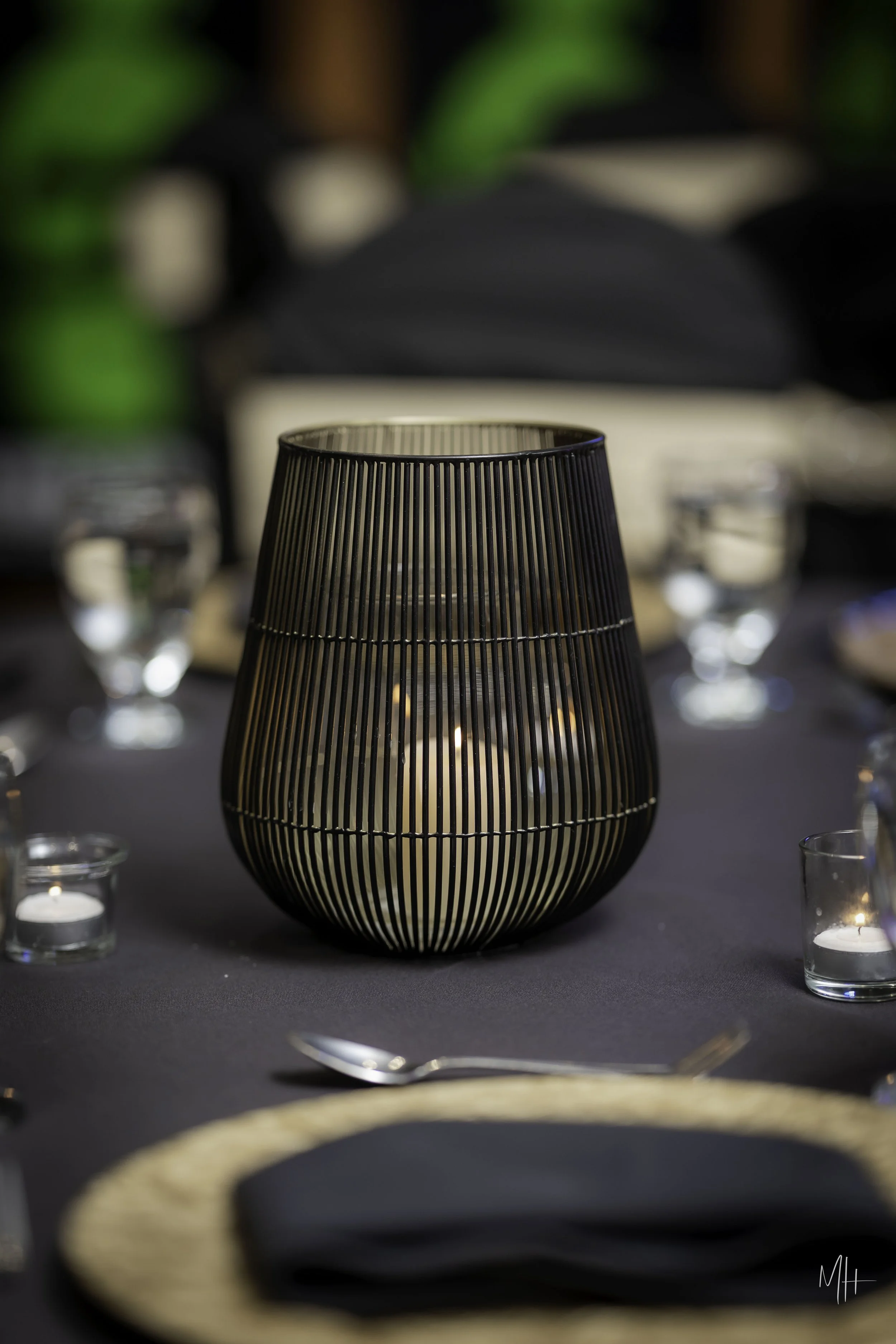 20260403 - Tony Rehal-3.jpg