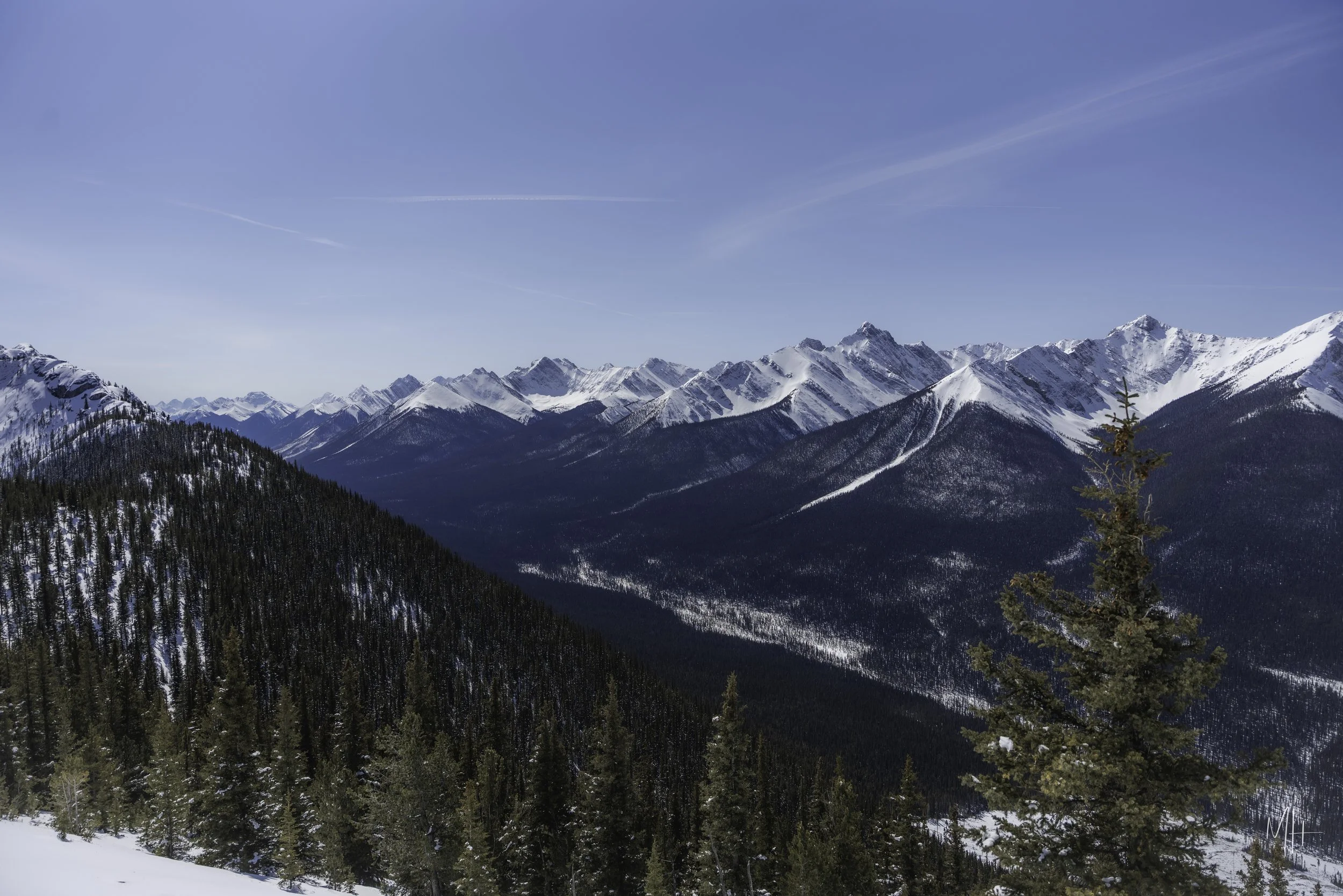 20260418 - Family Banff-106.jpg