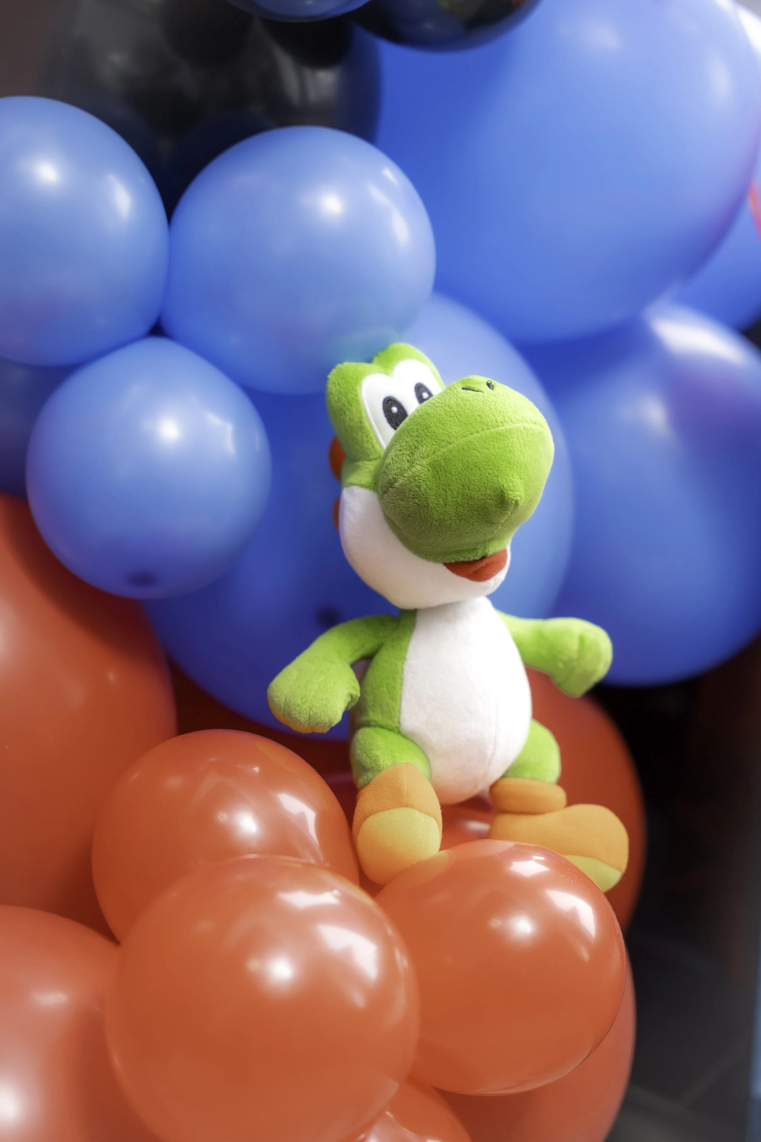 20260216 - Armaan bday-45.jpg