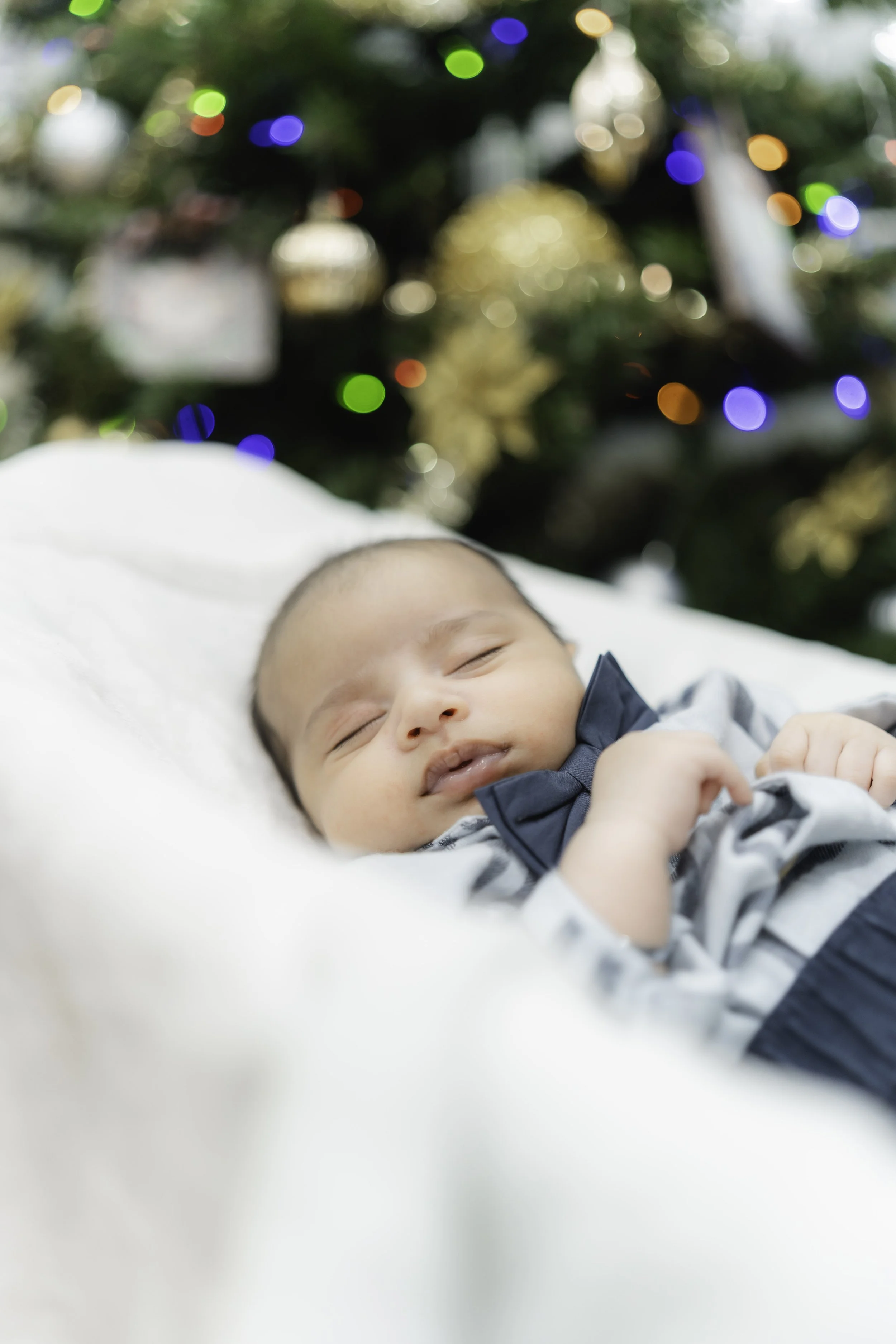 20251128 - Toronto 2025-21.jpg