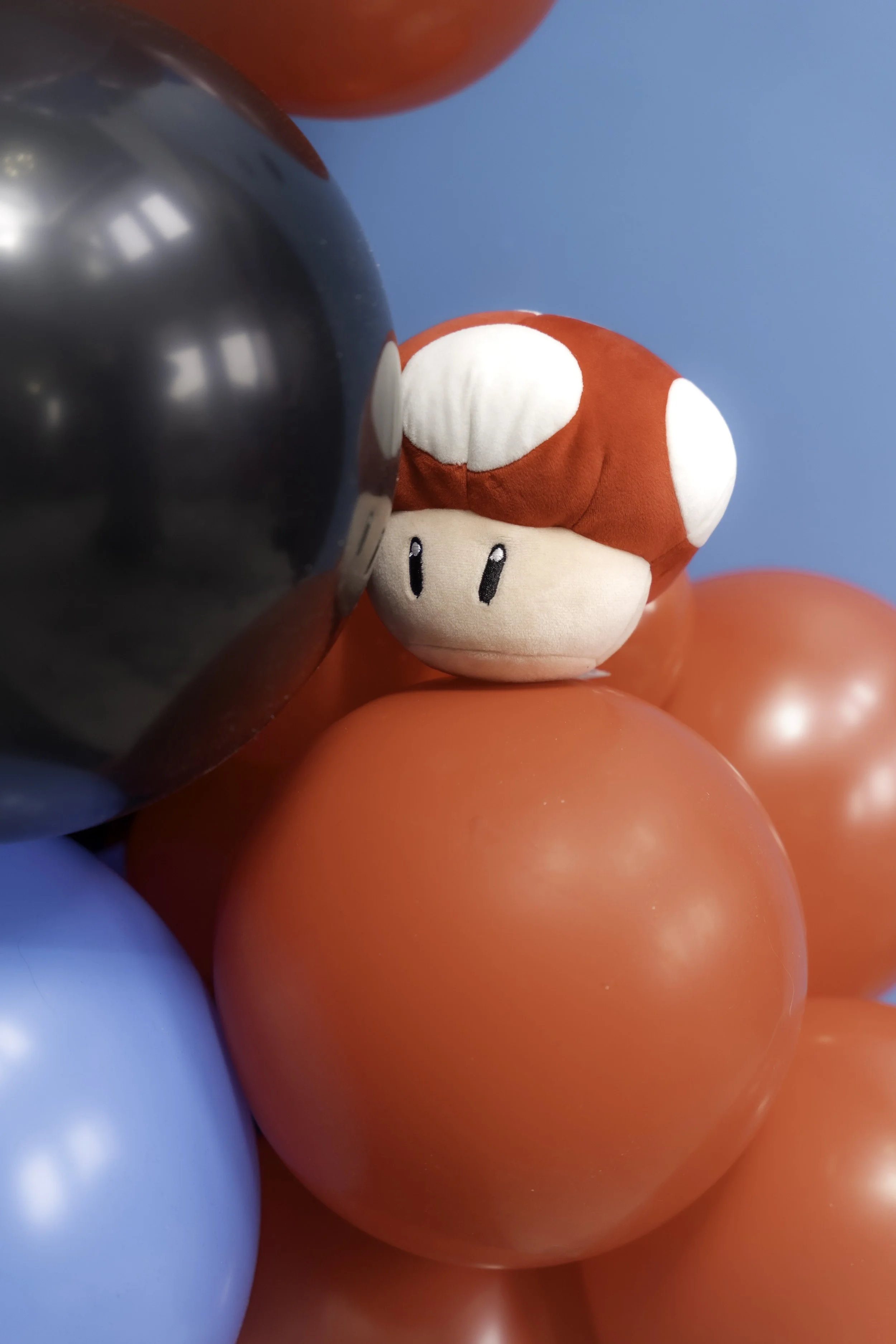 20260216 - Armaan bday-43.jpg