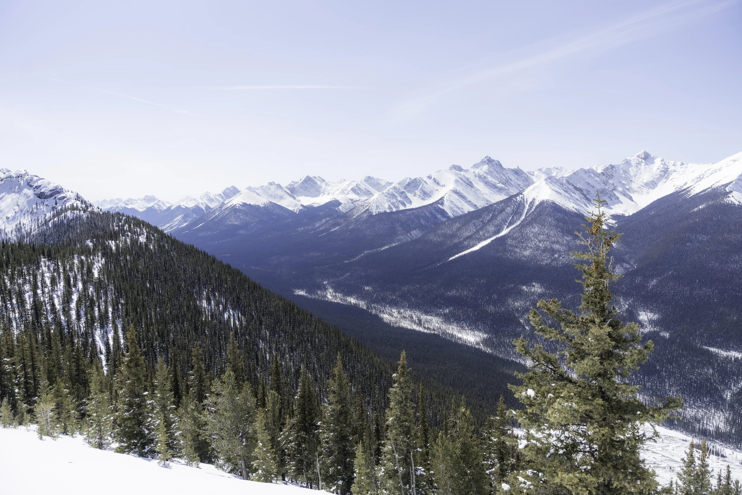 20260418 - Family Banff-107.jpg