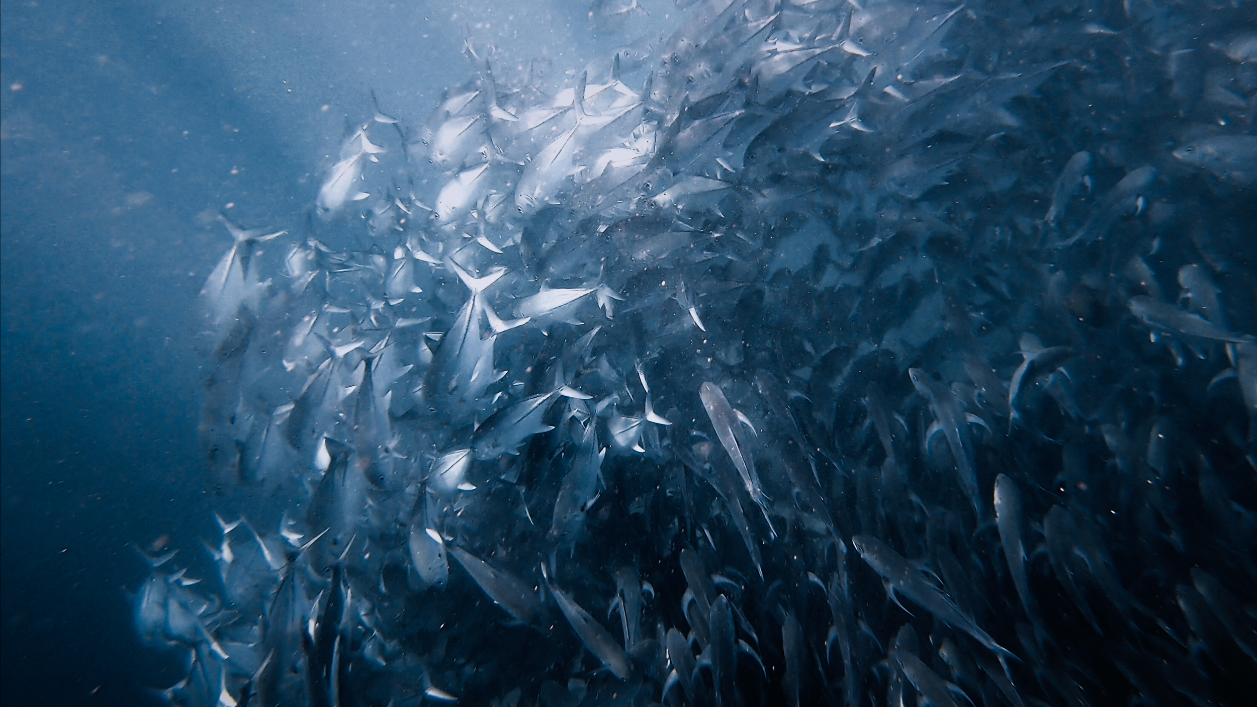 Adobe_Express_20240112_2338010_1.png