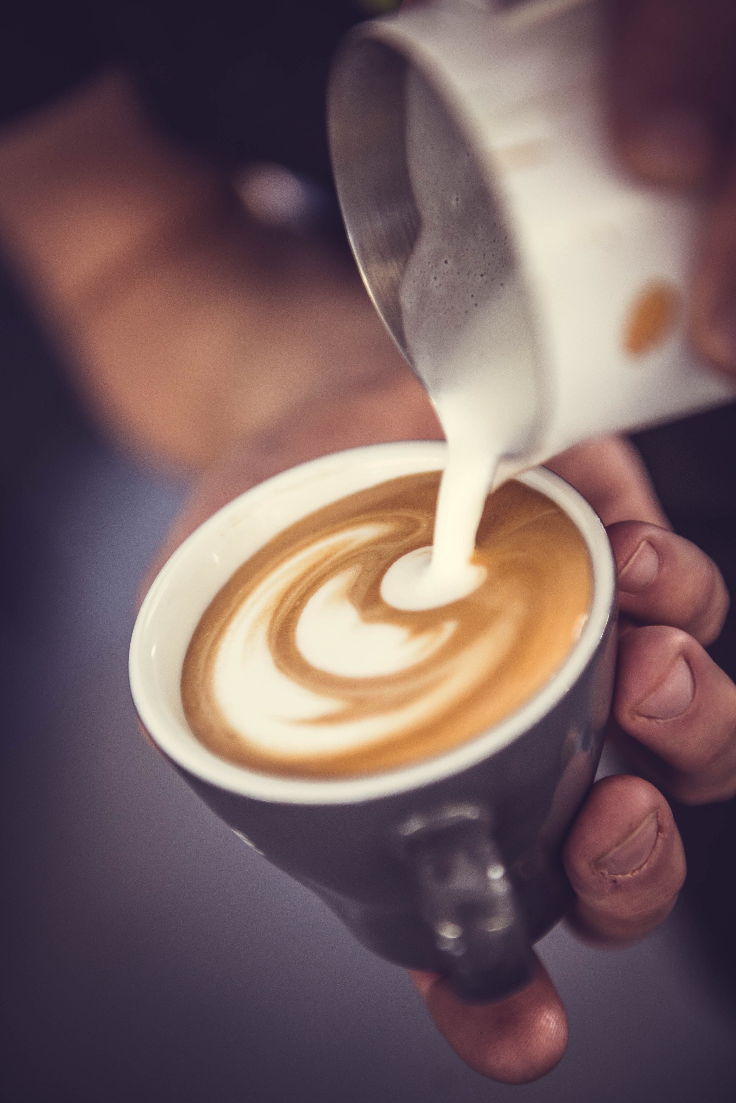 Latte - Art Tulpe