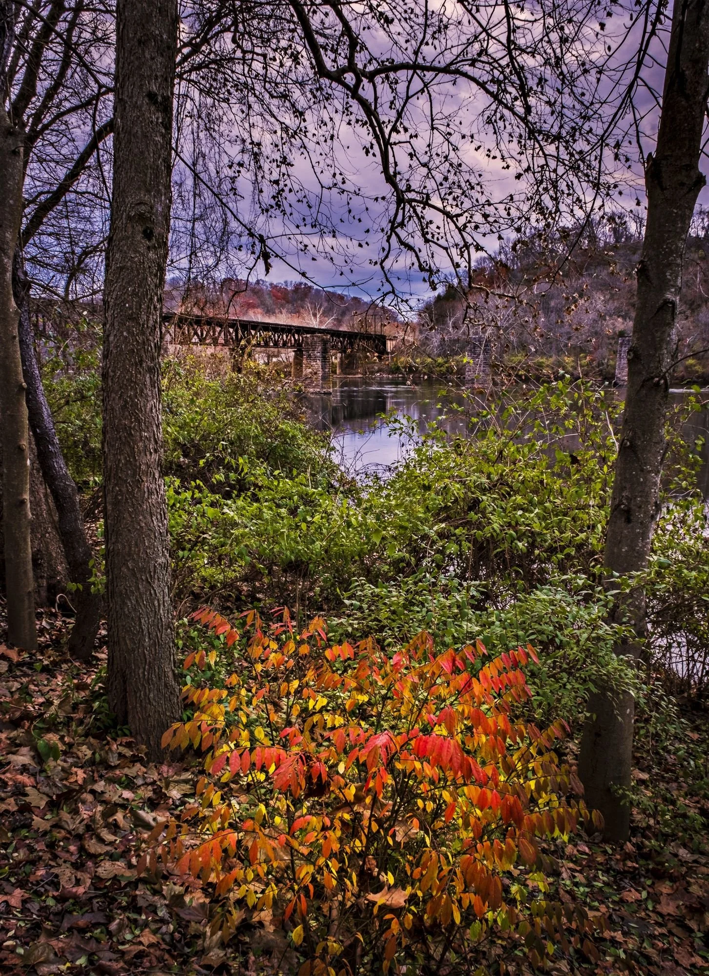 Autumn in Bisset Park