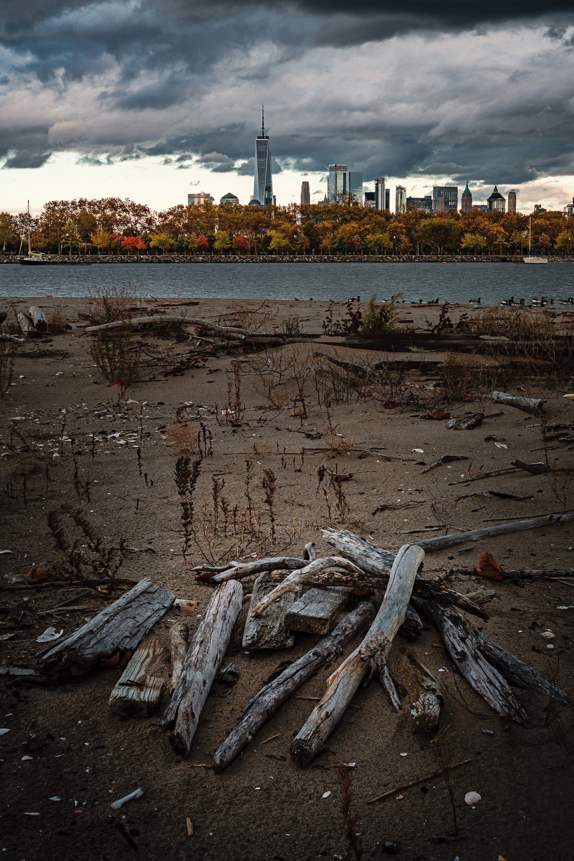 The Cycle of Decline and Renewal
