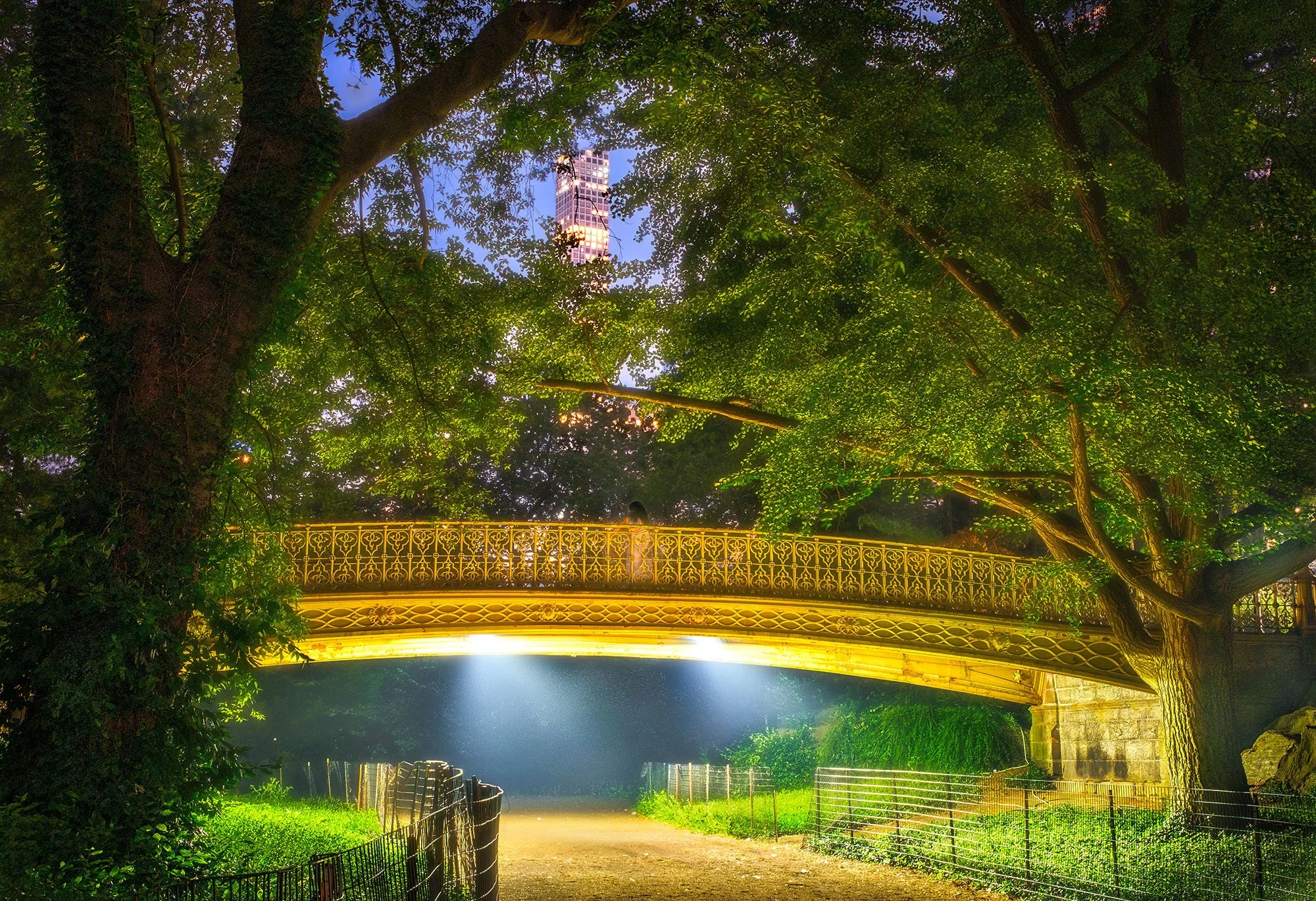 Finding Clarity Within the Haze (Pine Bank Bridge)