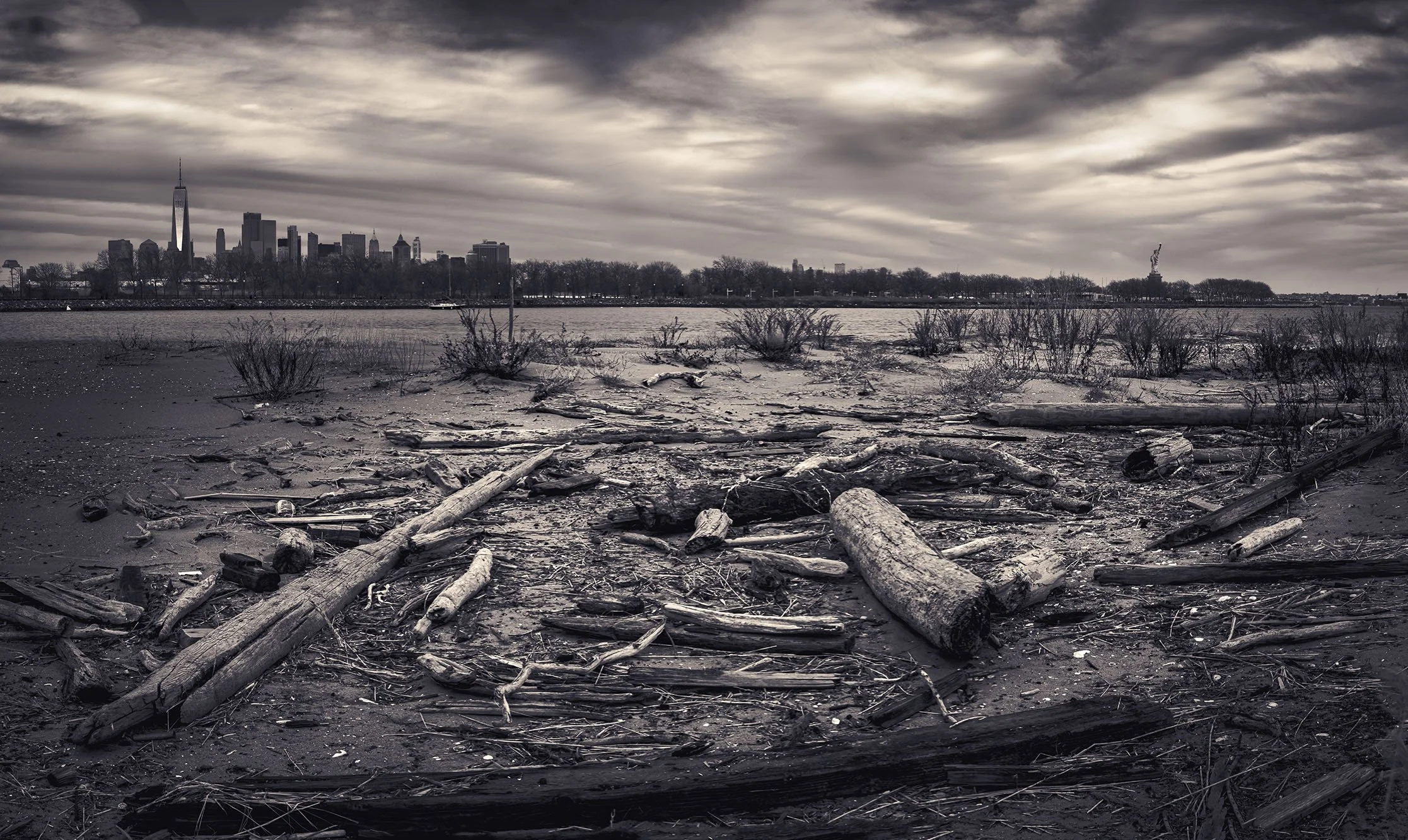 Scenes From a Boneyard