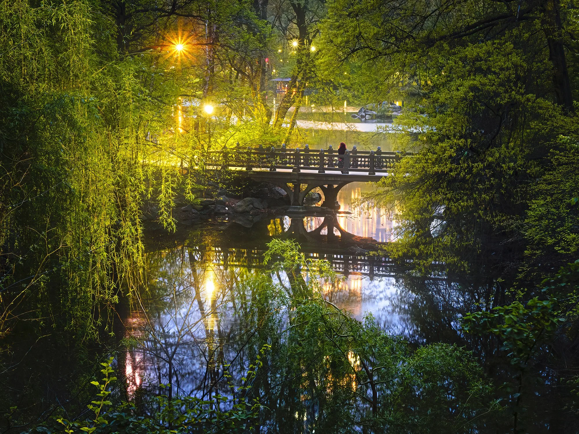 Gazing Into the Mystic (Oak Bridge)