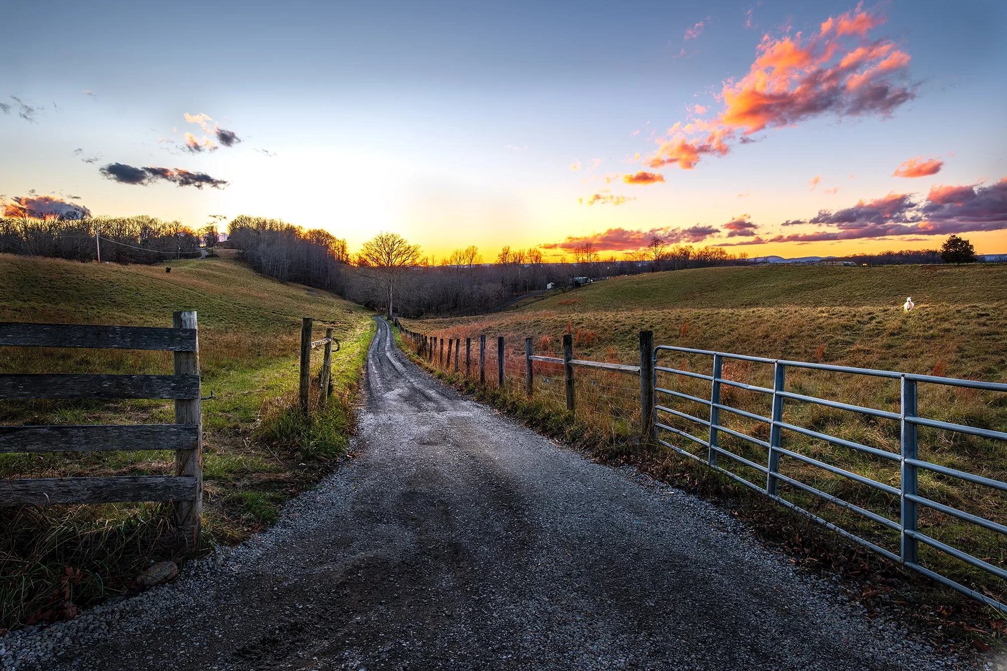 Country Road, Take Me Home