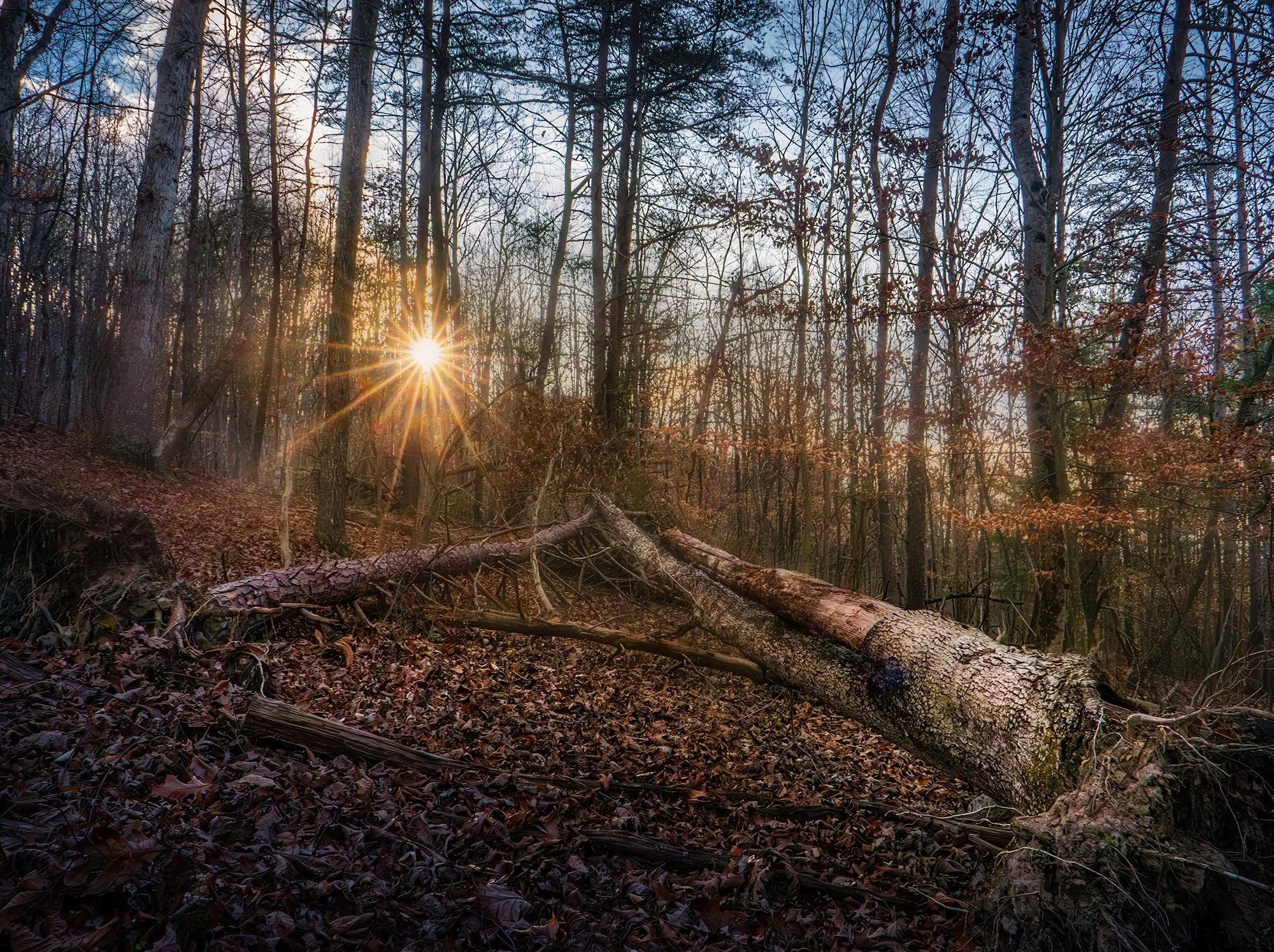 Lying in Stillness