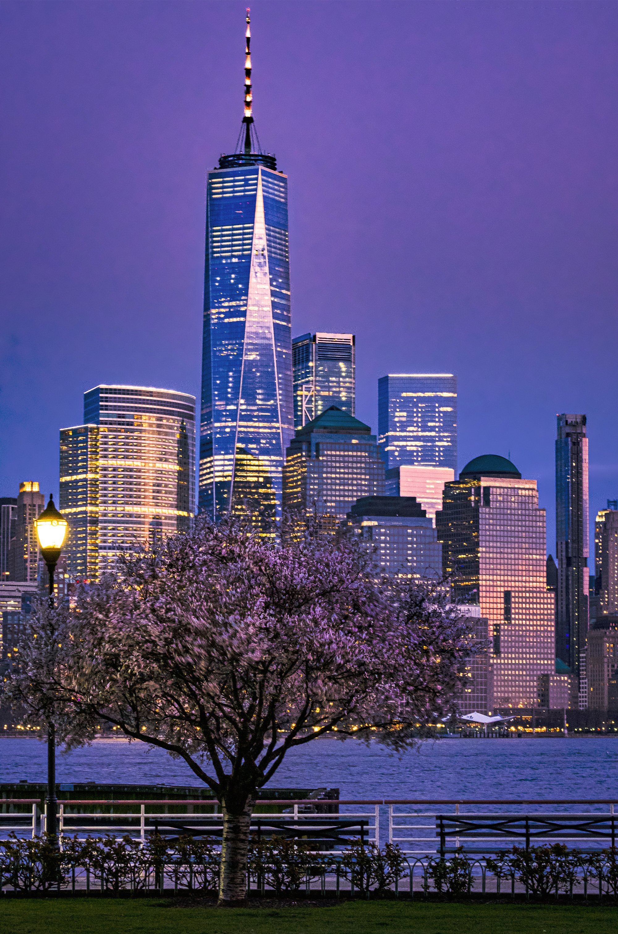A Lilac Minute During the Blue Hour (Jersey City, New Jersey)