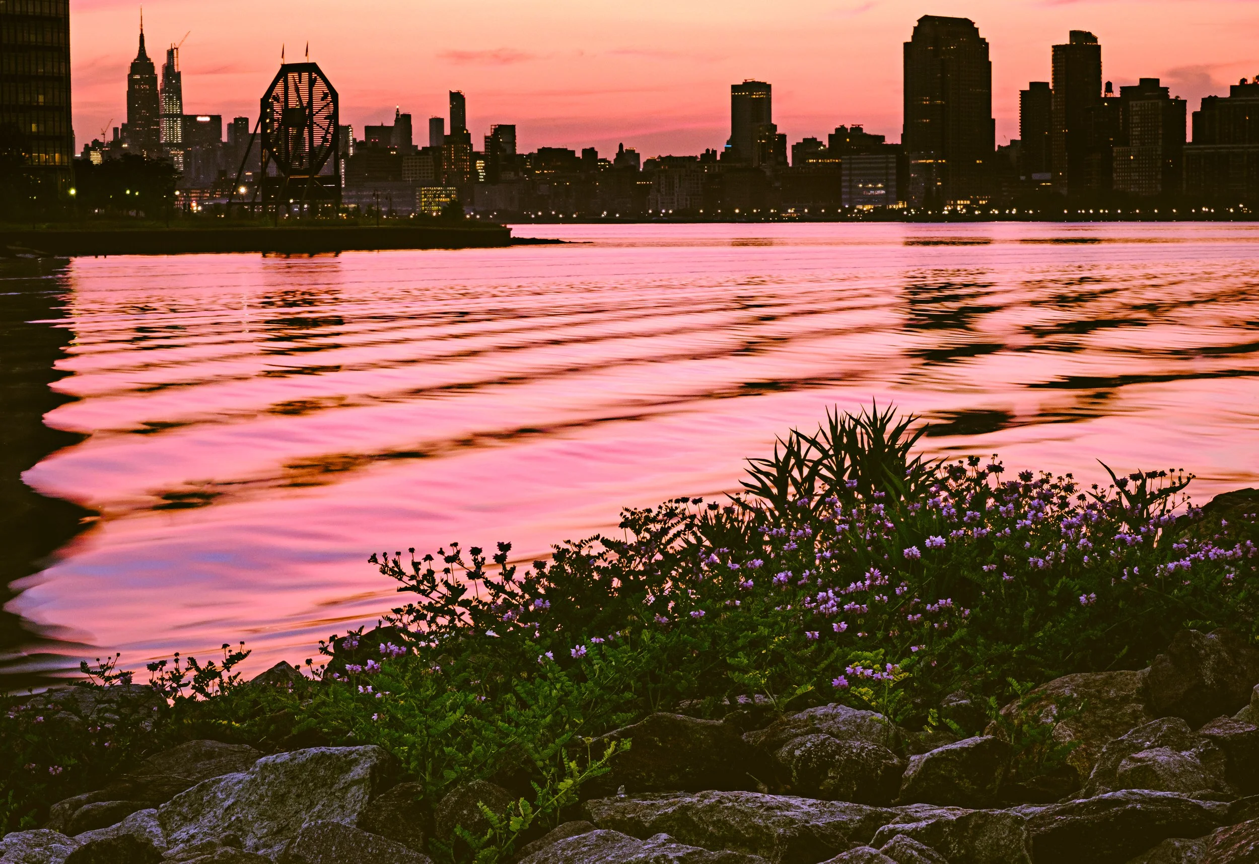 wJeffrey Hughes-Both Sides Photography-On the Cusp-Juxtapostionings-Liberty State Park_DSF0398_6-10-20.jpg