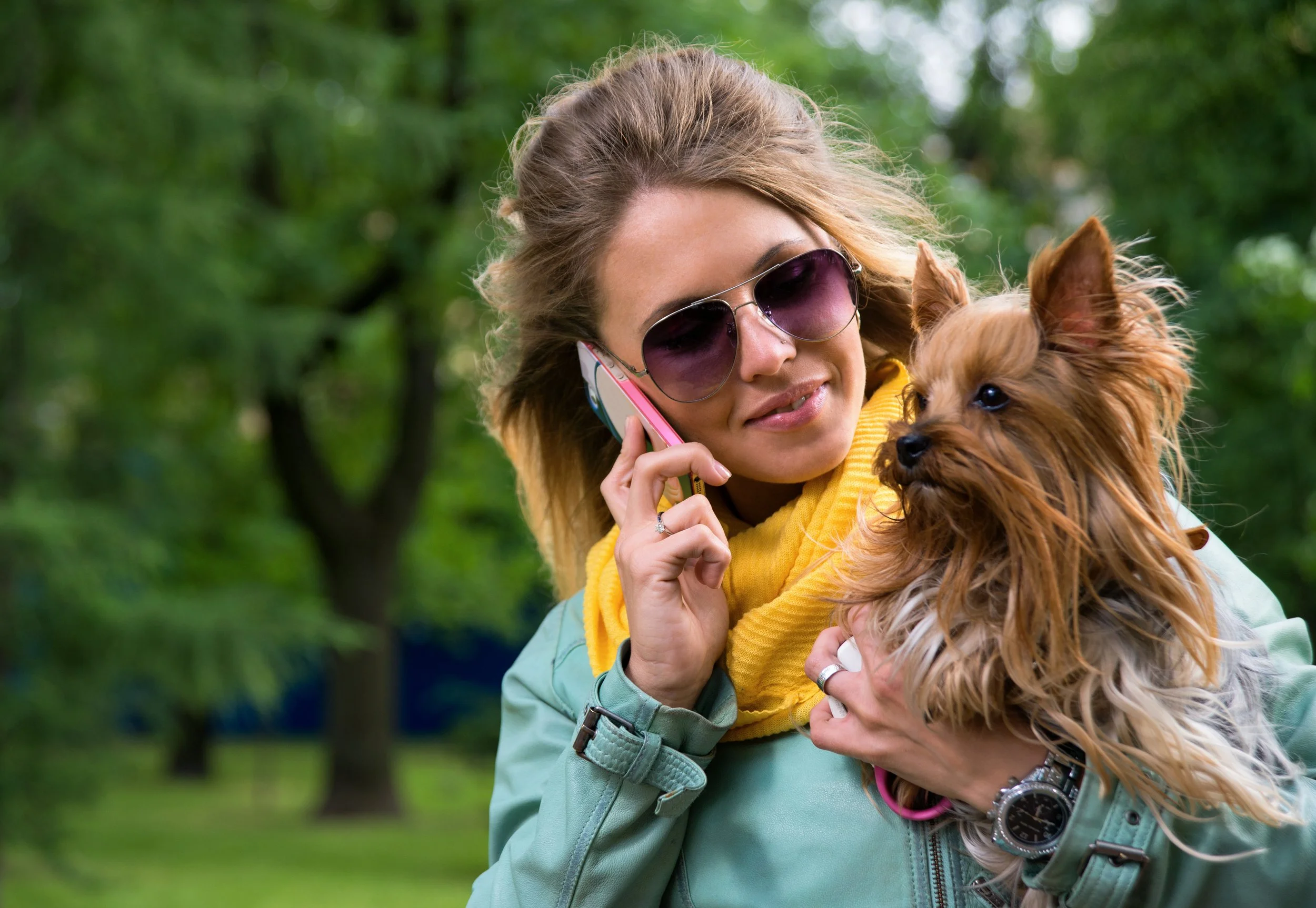 How do dogs perceive human communication?