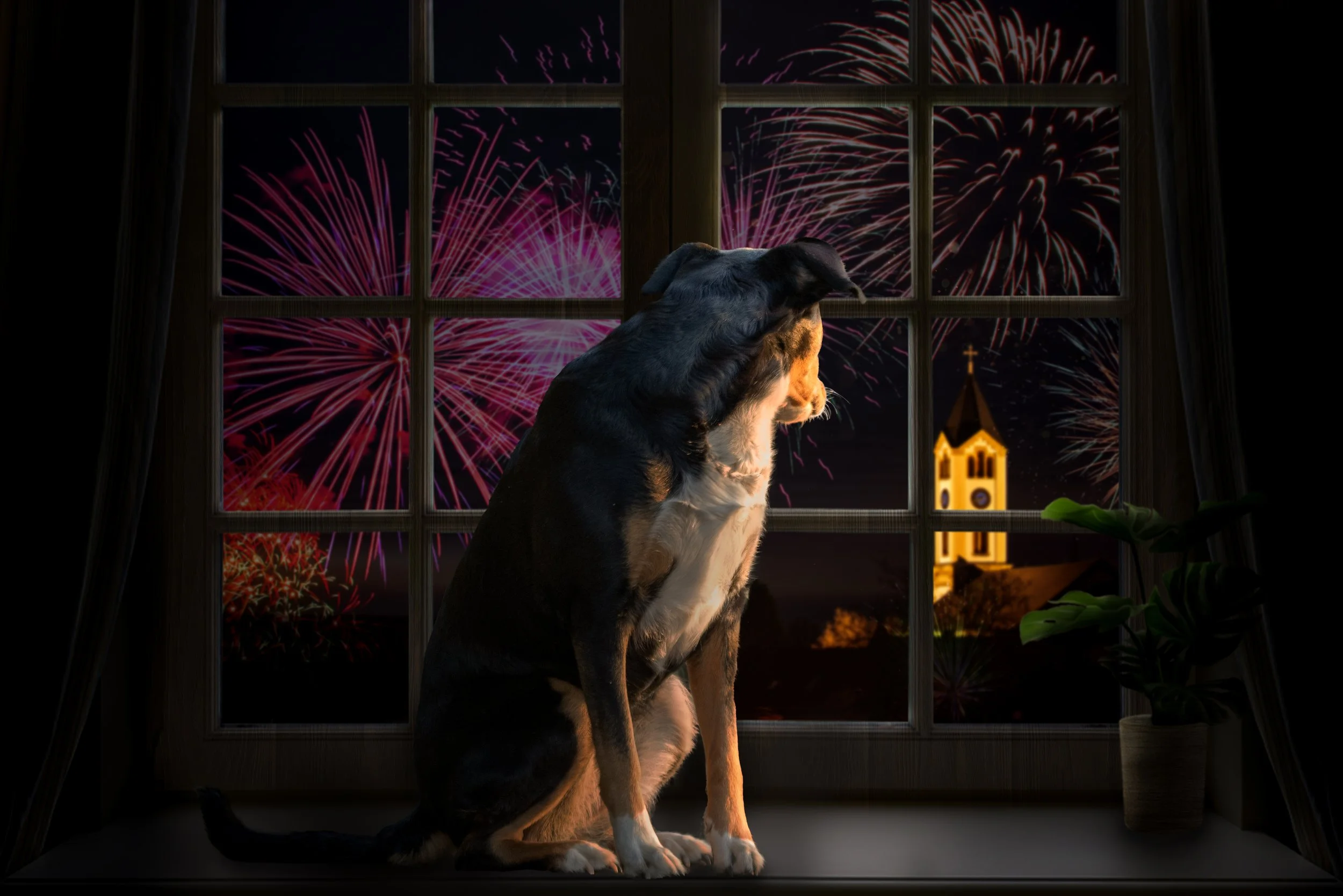 10 Tips to keep your dog Safe around Fireworks