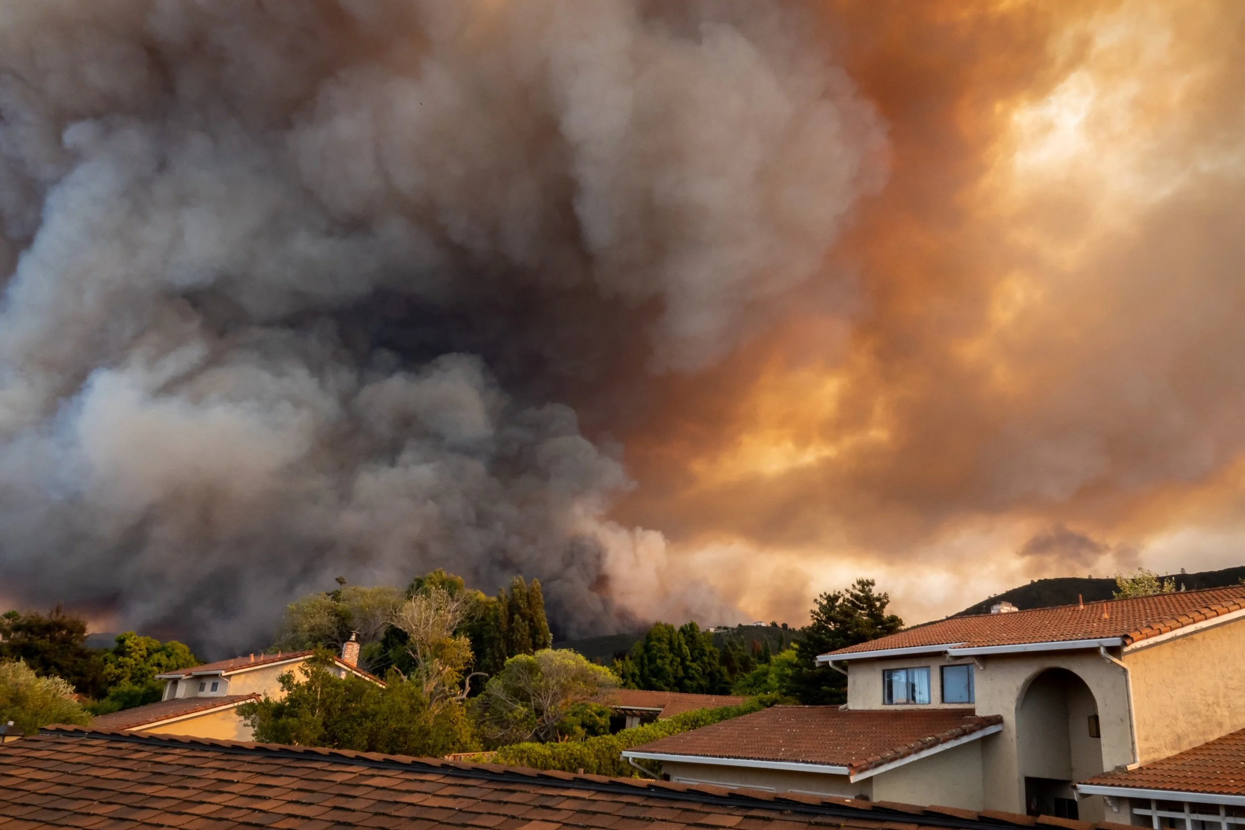 Wildfires, hazardous smoke and the safety of your dogs