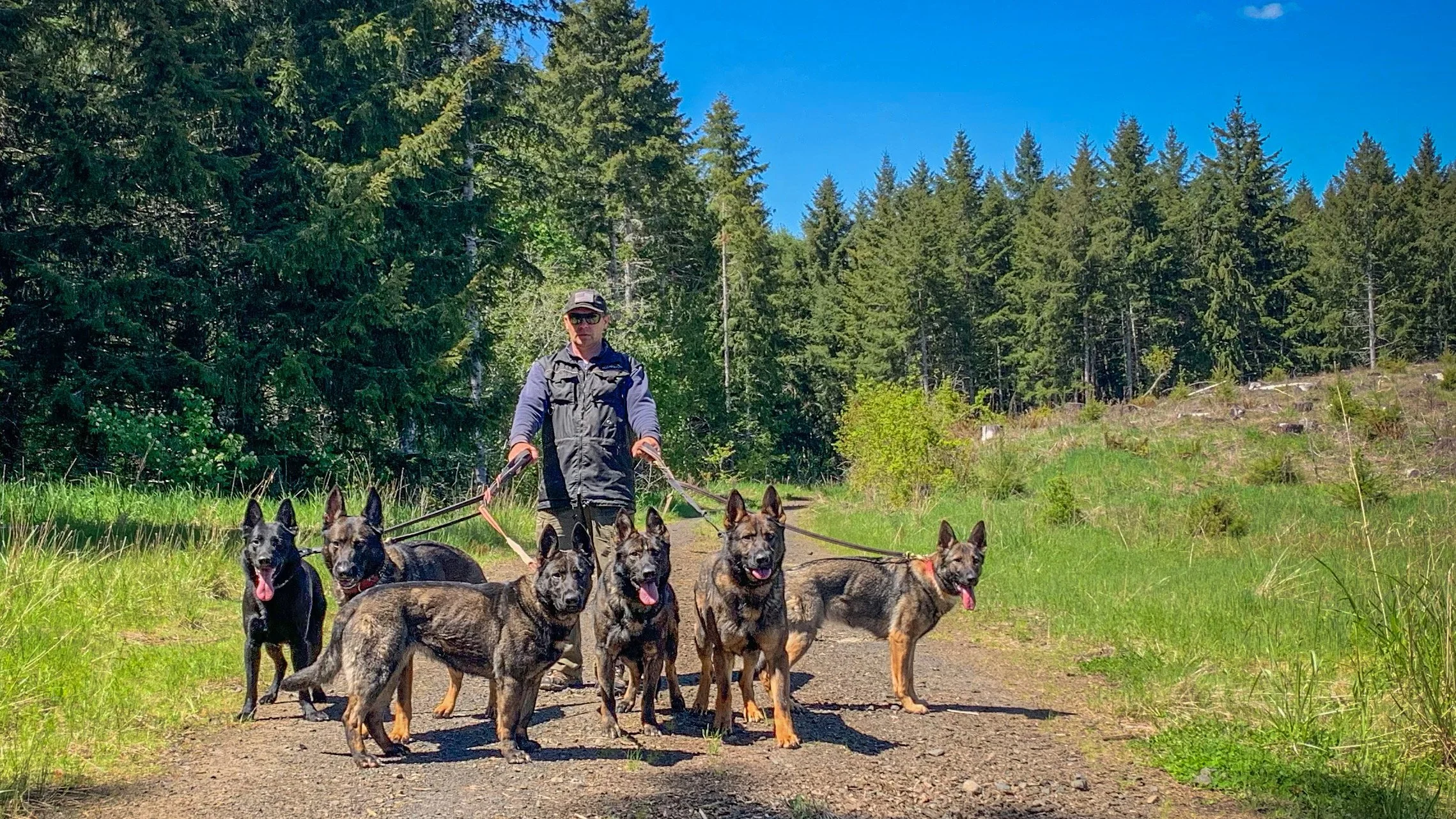 Expertise in Check: Reflecting on the Realities of Dog Ownership for Professionals
