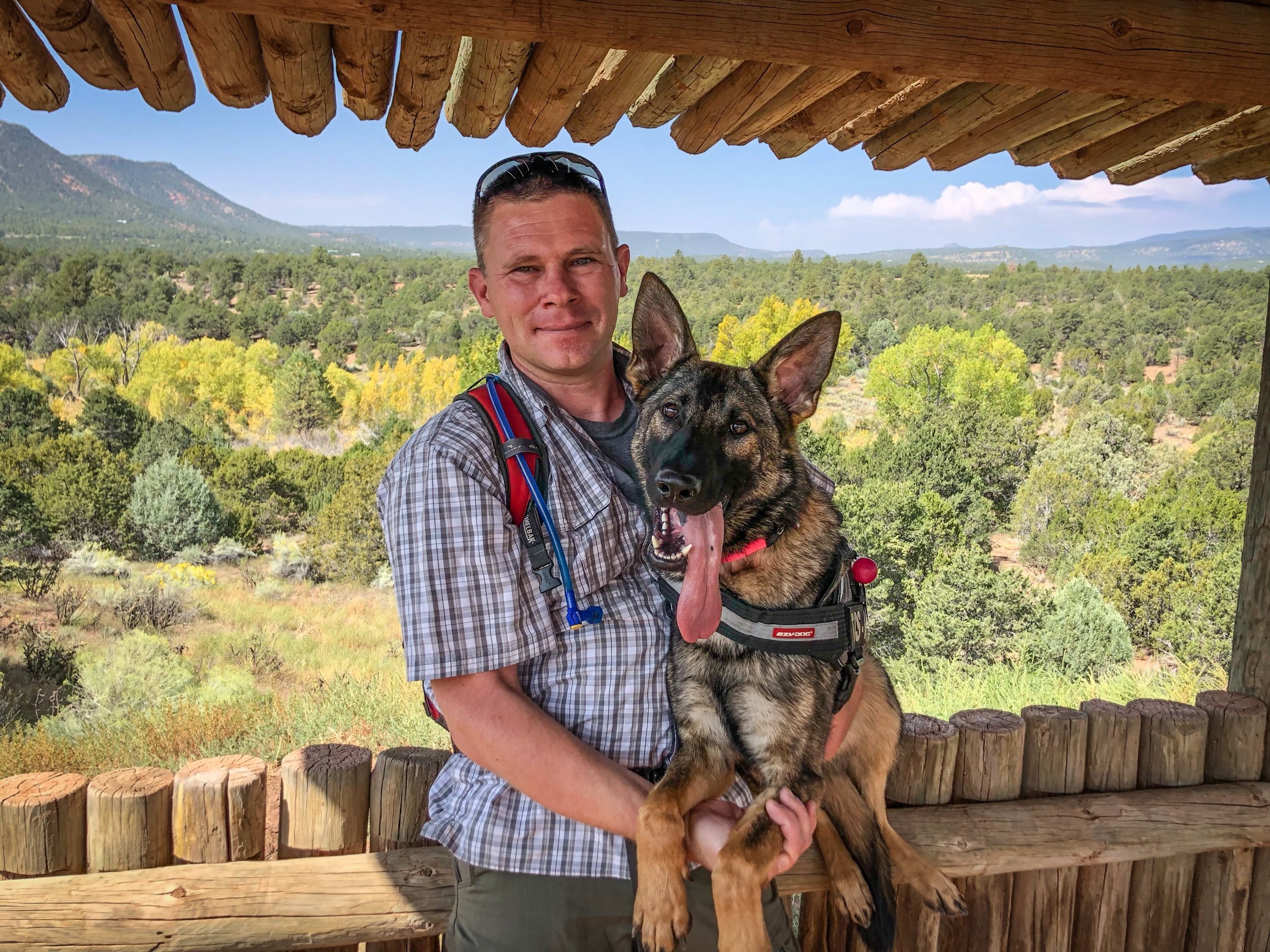 Training Techniques Unleashed: Why Relationship-Based Methods Lead the Pack.