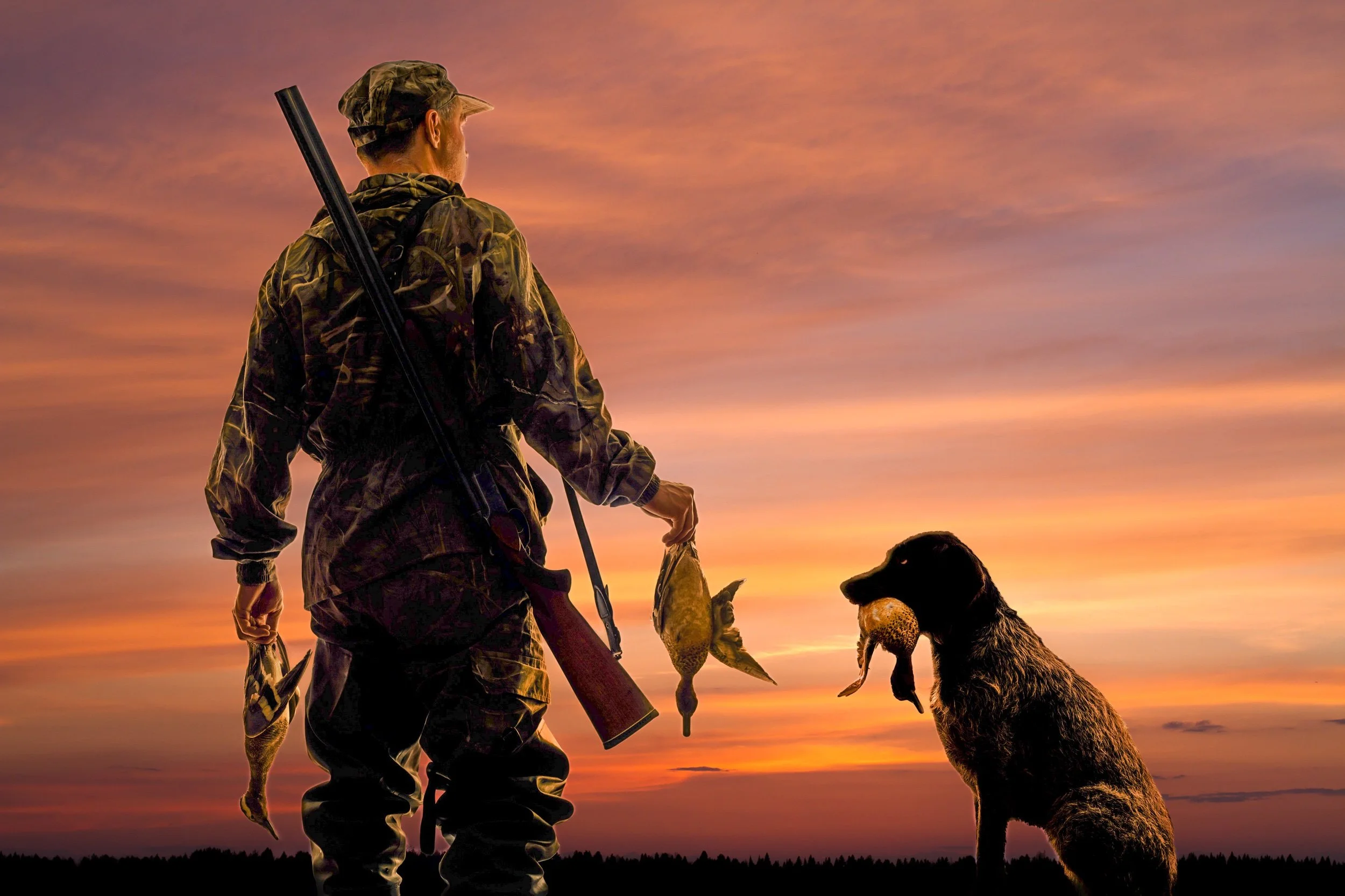 Training the Hunting Dog