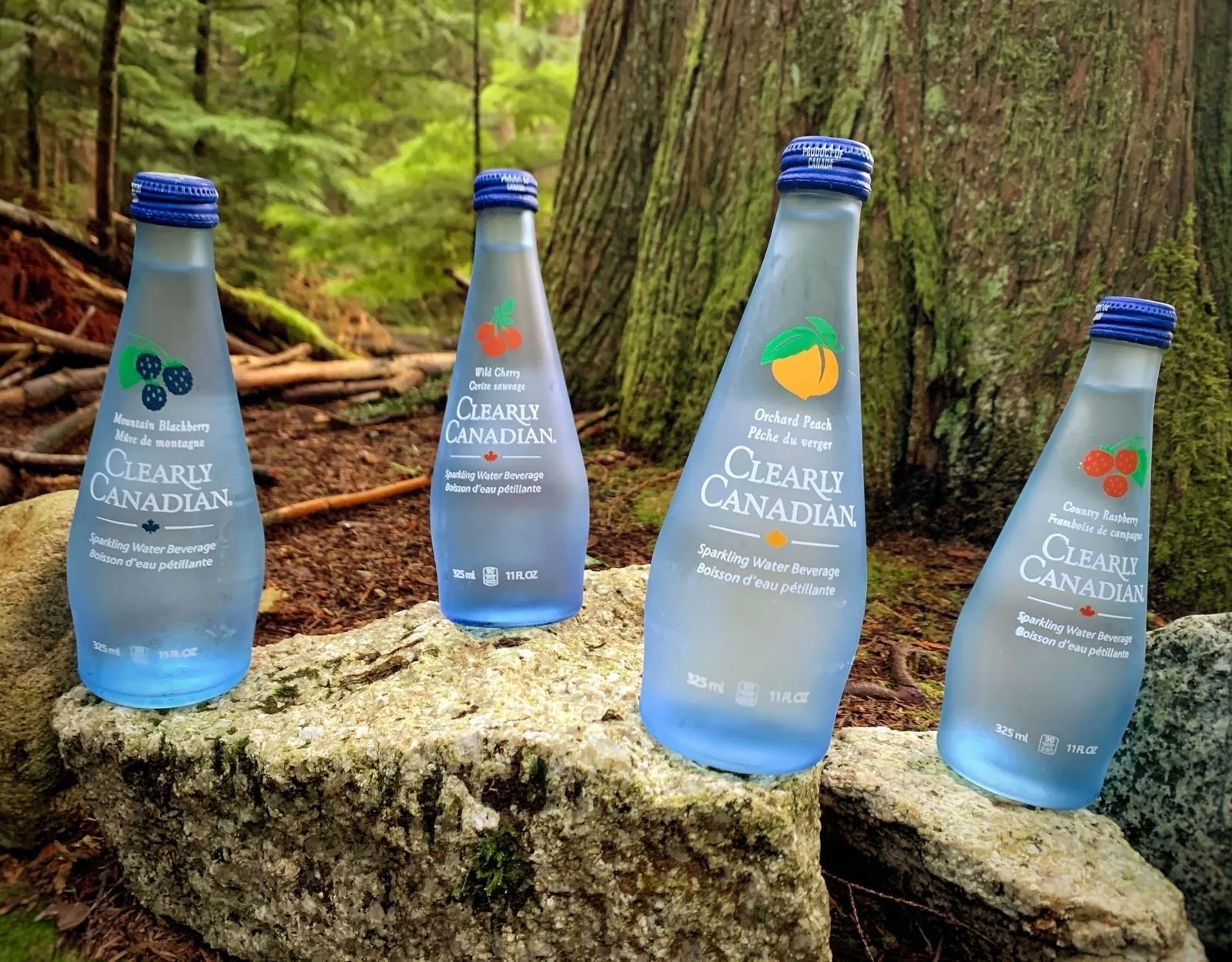 Refreshing bottles and cans of Clearly Canadian sparkling water in a variety of fruit flavors, including regular and zero sugar options, now available through Vintage Distributors across the Florida Panhandle.