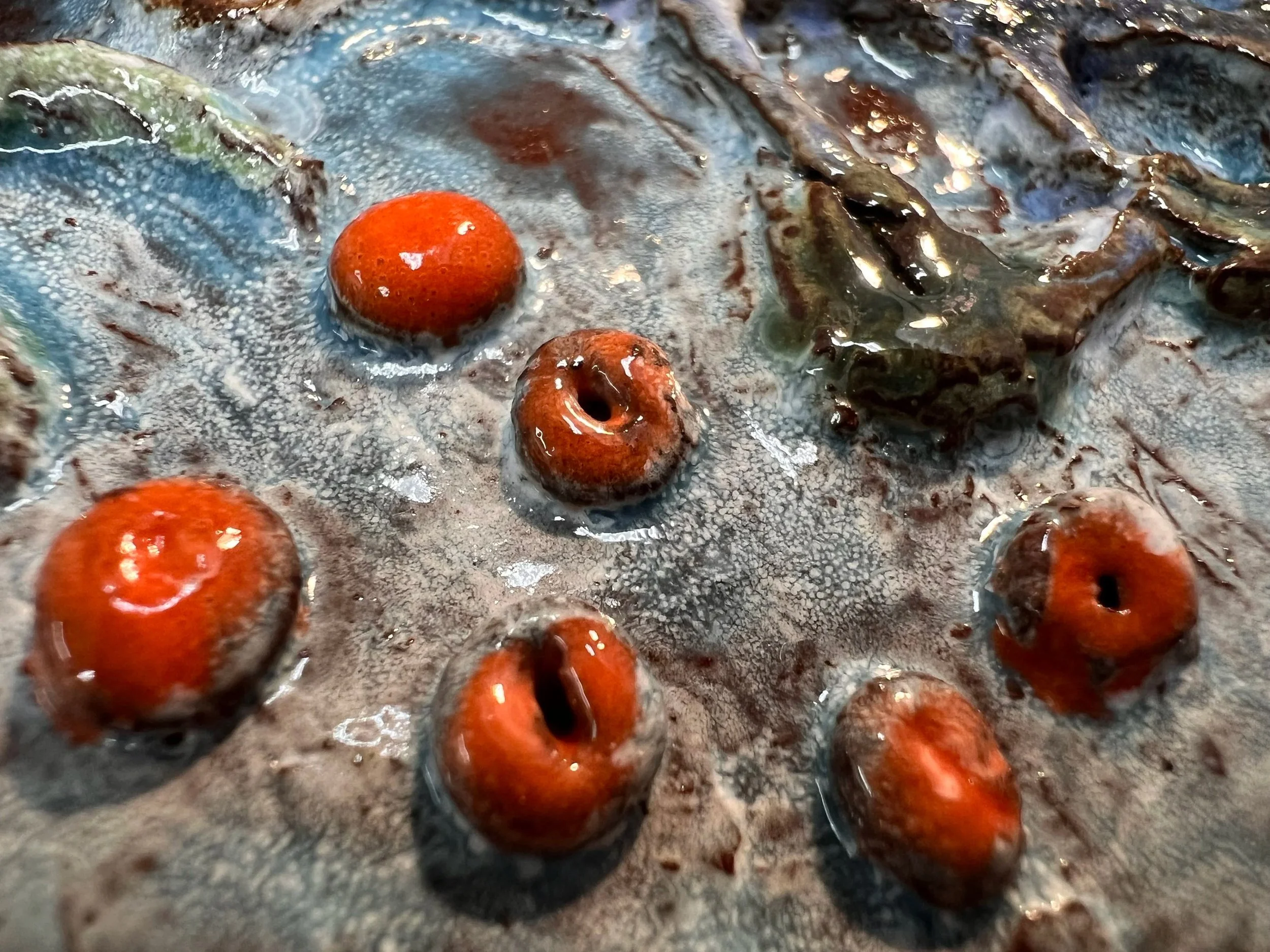 IMG_1612.jpg