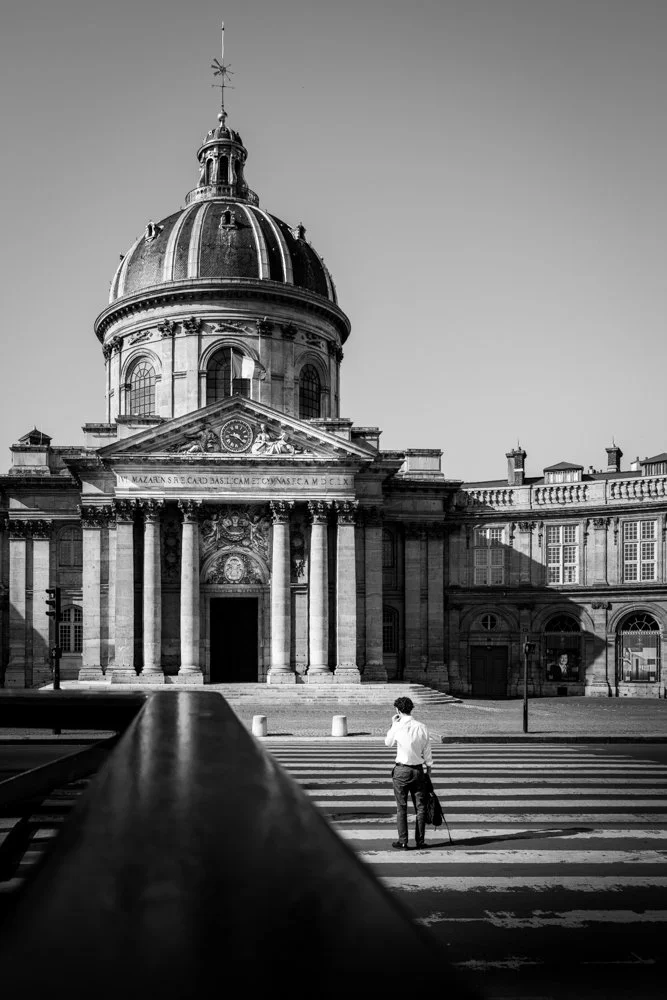 Paris Mann Zebra.jpg