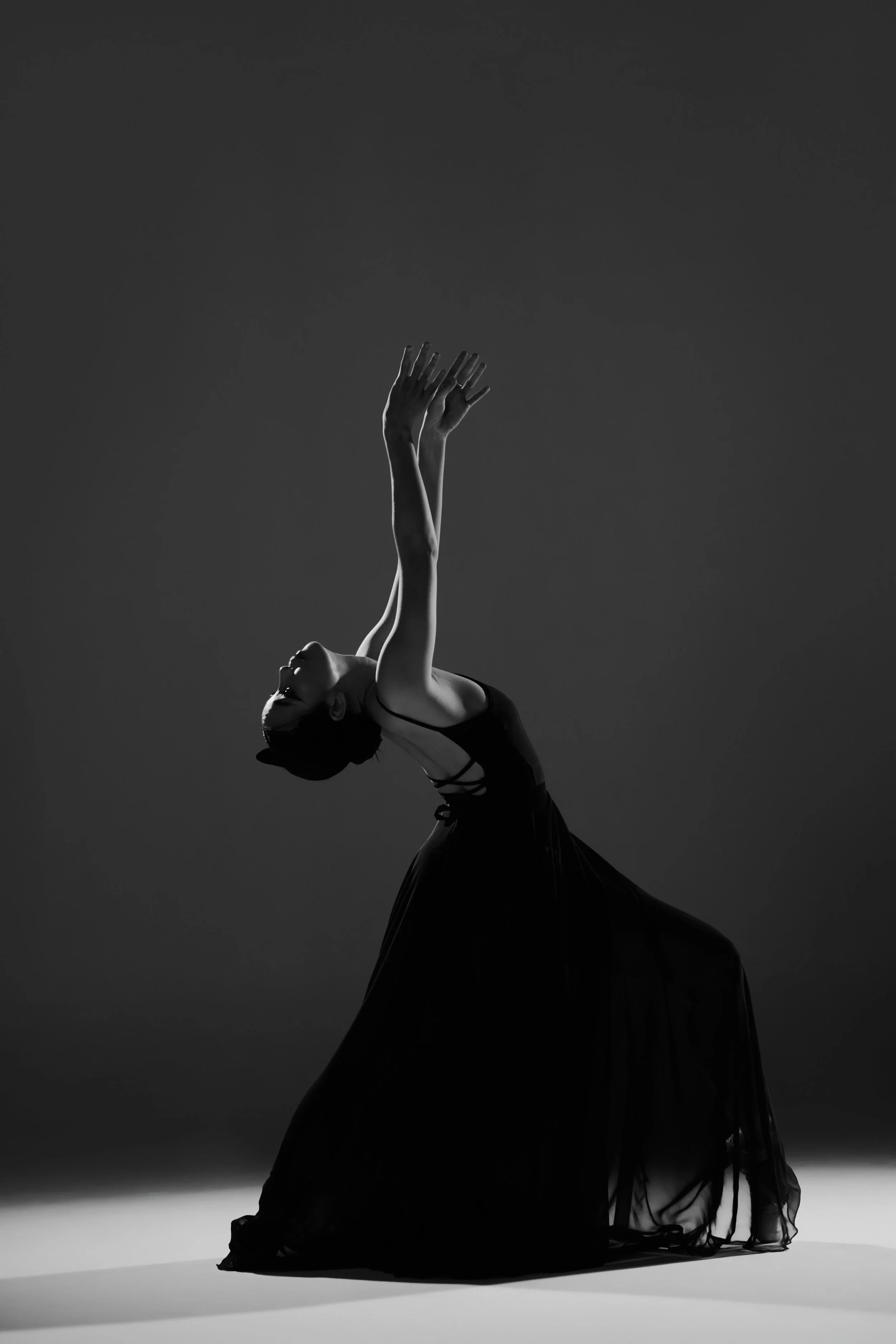 Copy of 20221028 ballet2436.jpg