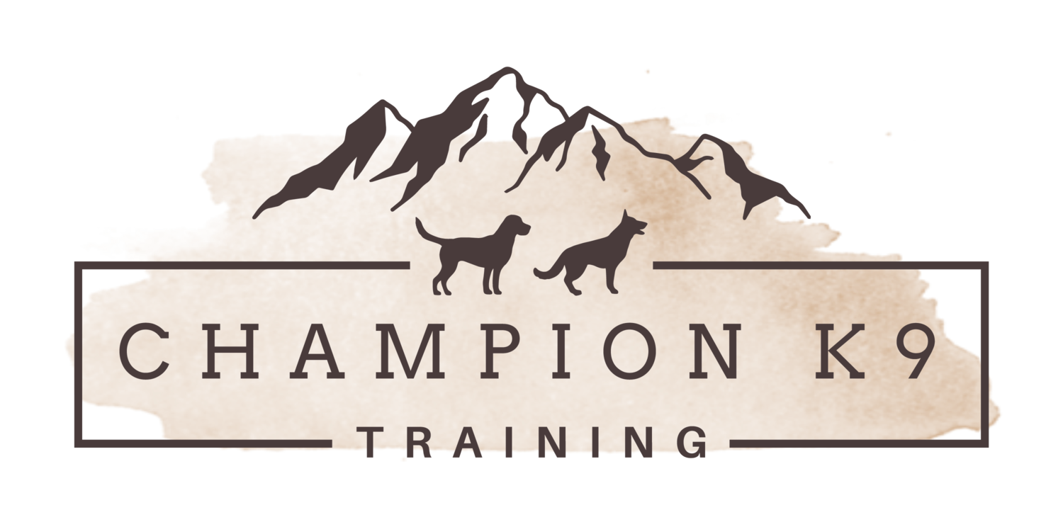 Champion K9 Training