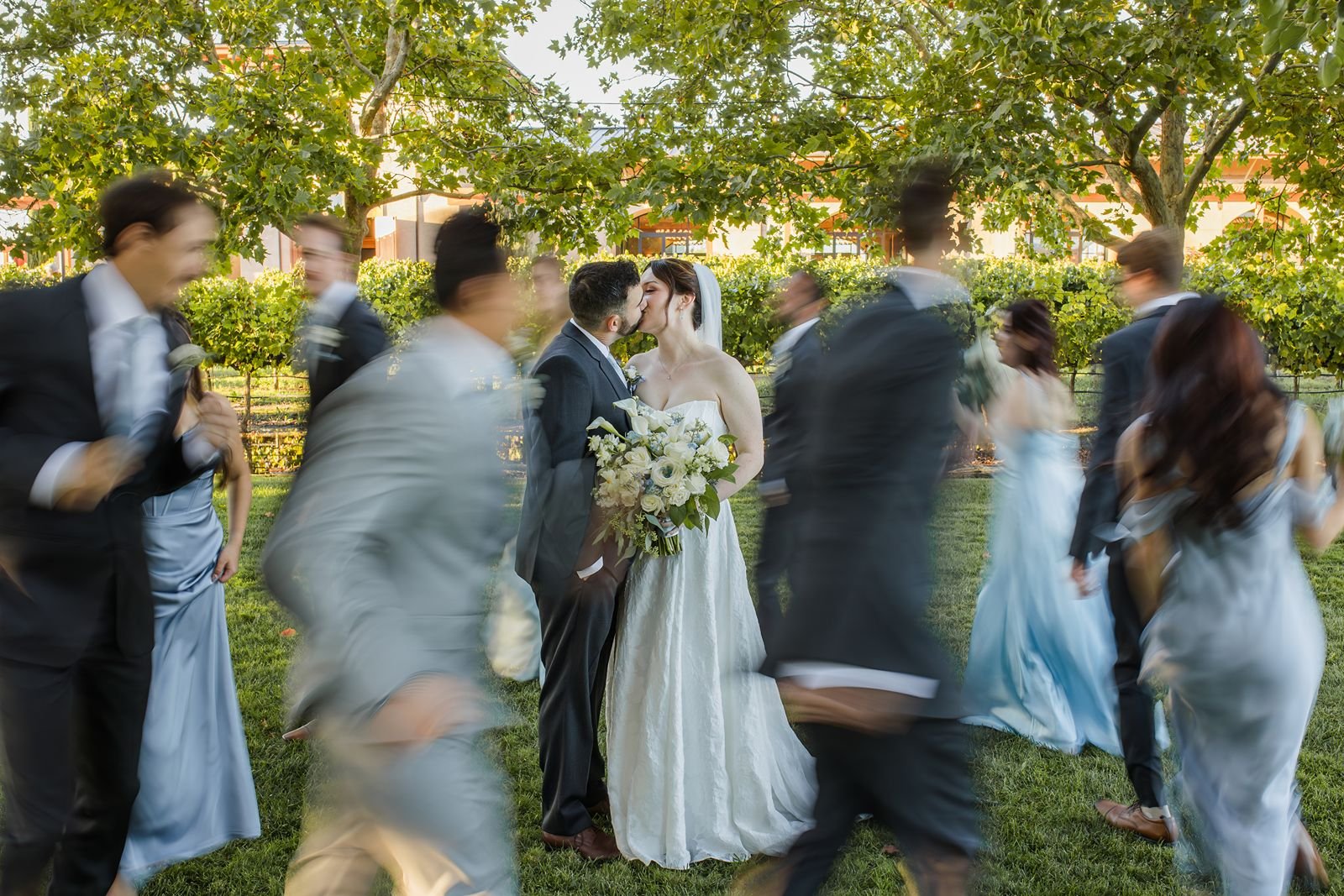 A couple kisses as ther bridal party runs around them at a Garre Winery wedding.