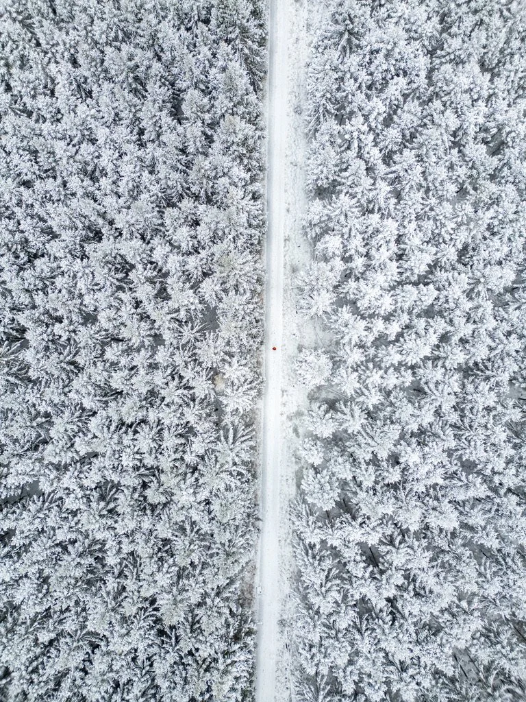 92B090C3-244C-436A-AE42-A8C4C26EFA88_1_105_c.jpeg