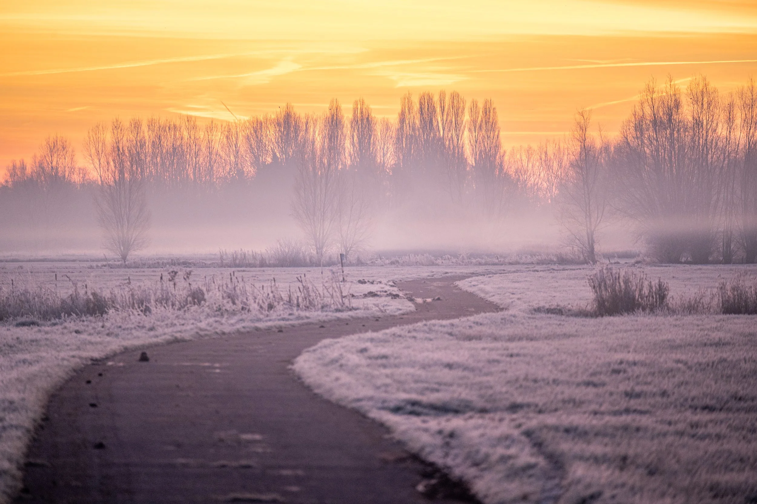 LandschappenWebsite-42.jpg