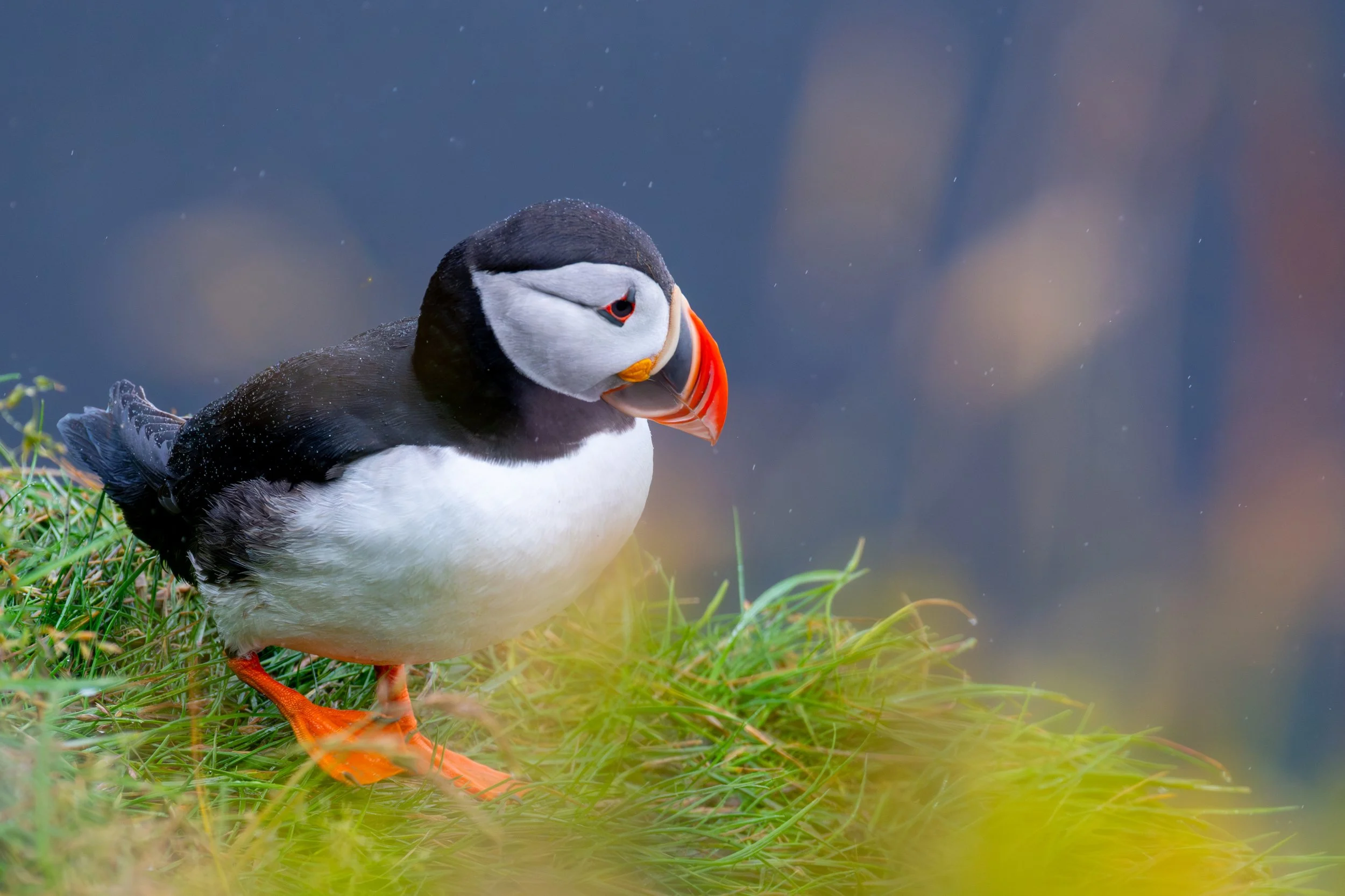 IJsland Dag 6-3 copy.jpg