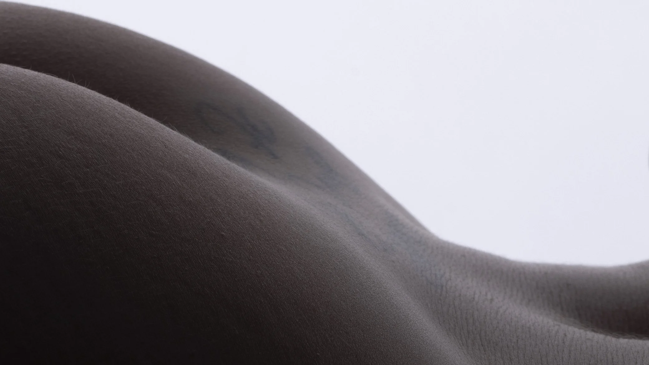 Close-up of dark brown fabric with a smooth texture and gentle folds.