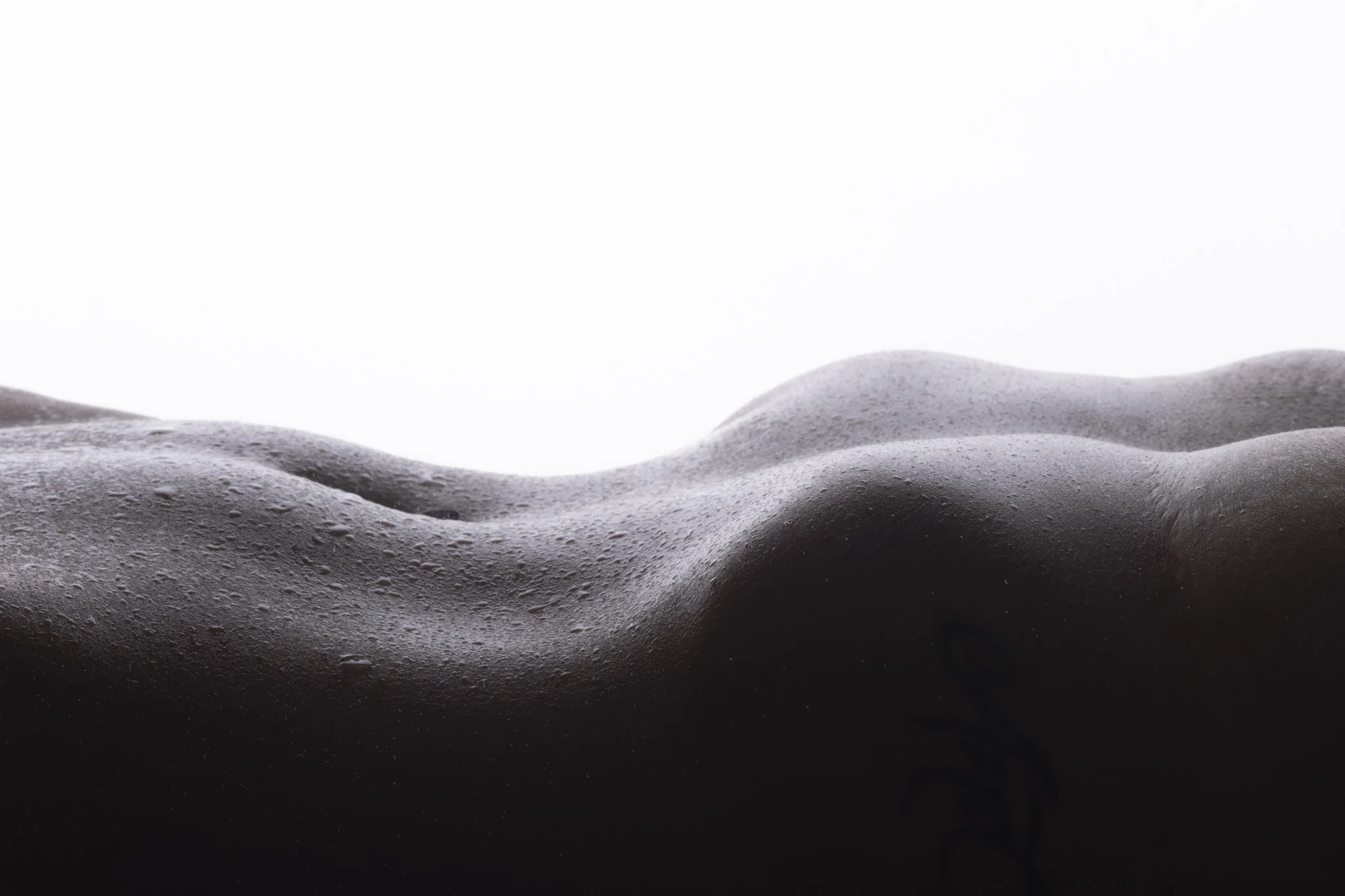 Close-up of a dark, textured surface with water droplets, against a white background.