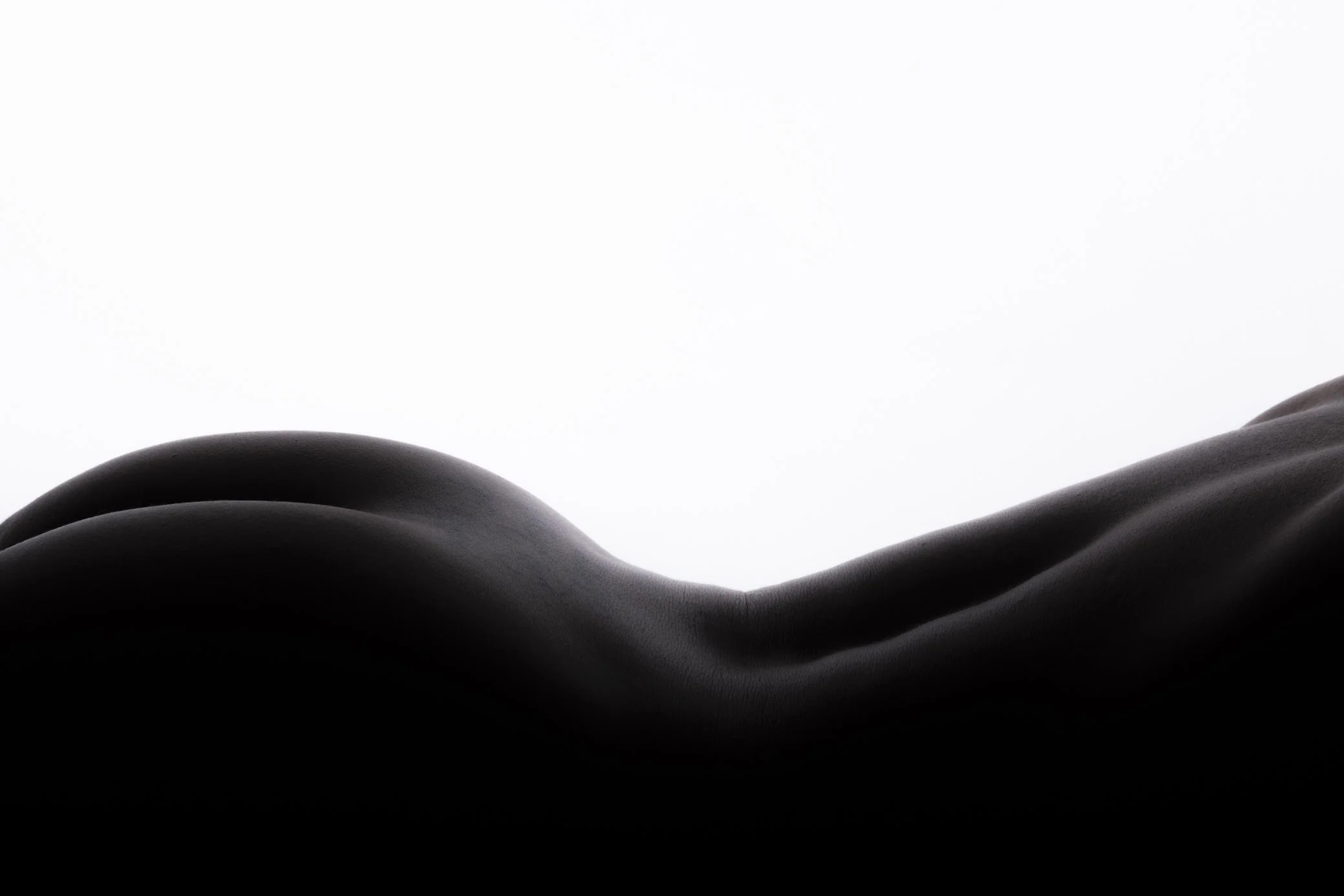 Close-up of a black leather surface with a white background.