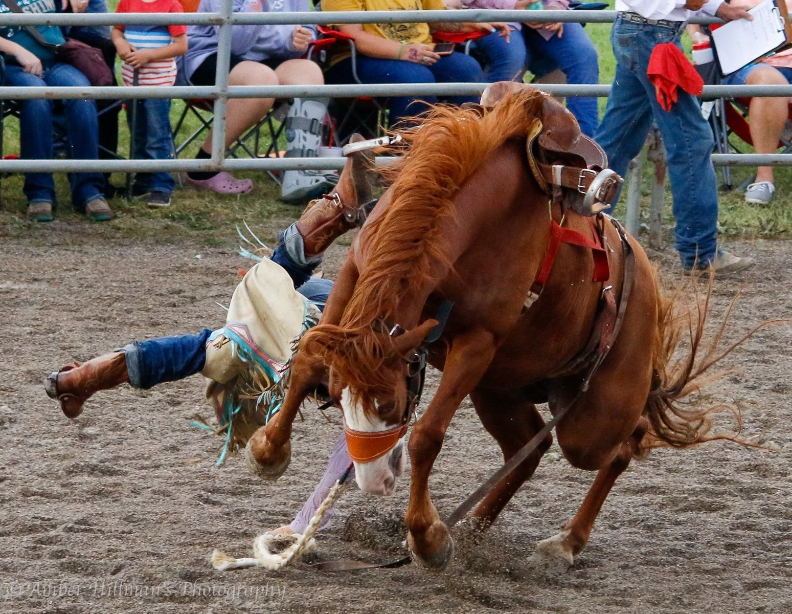 Nemo at Champaign.jpg