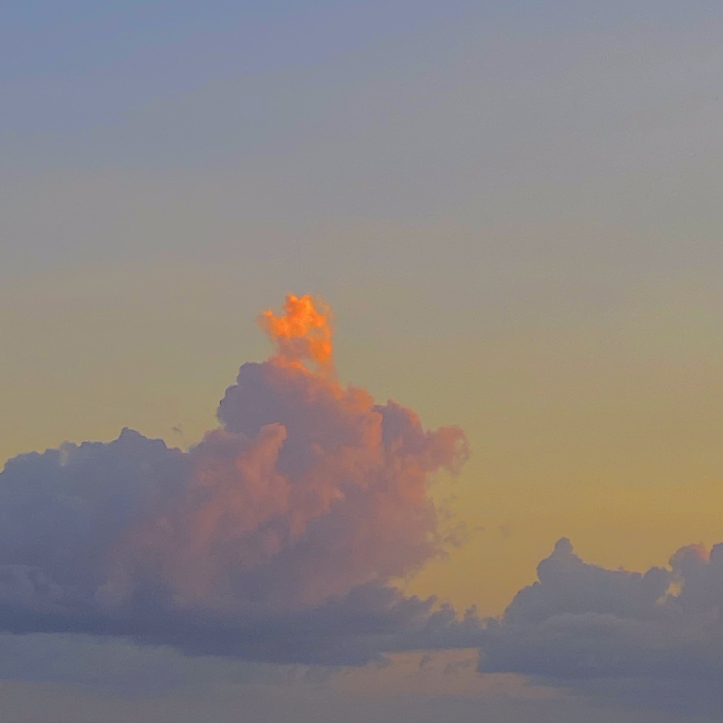 Vieques, 2021.