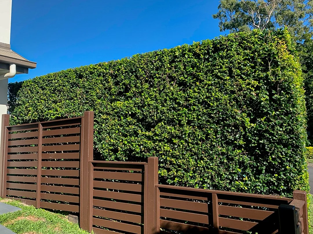 Hendra - The deadly Hendra virus was first identified in this very suburb in 1994, when an outbreak in racing stables led to its discovery. Hence the virus took its name from the suburb.